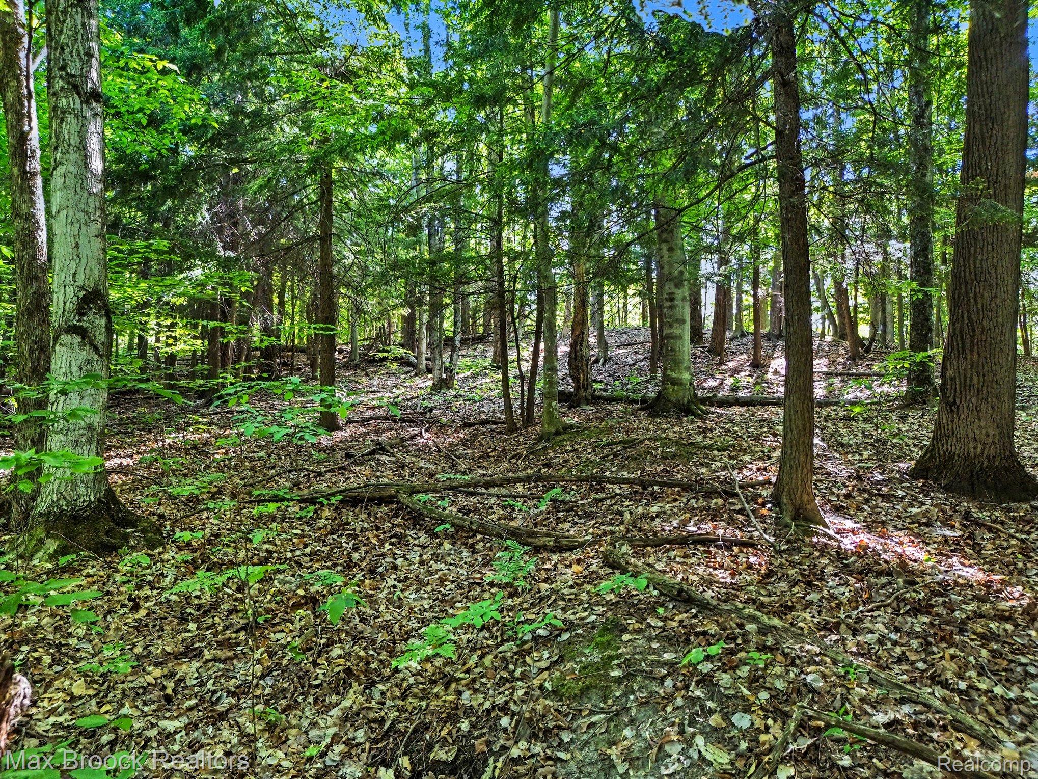 125 Legend Trail Property Photo 1