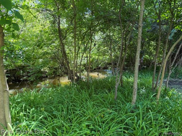 5135 Iron Gate Road Property Photo 3