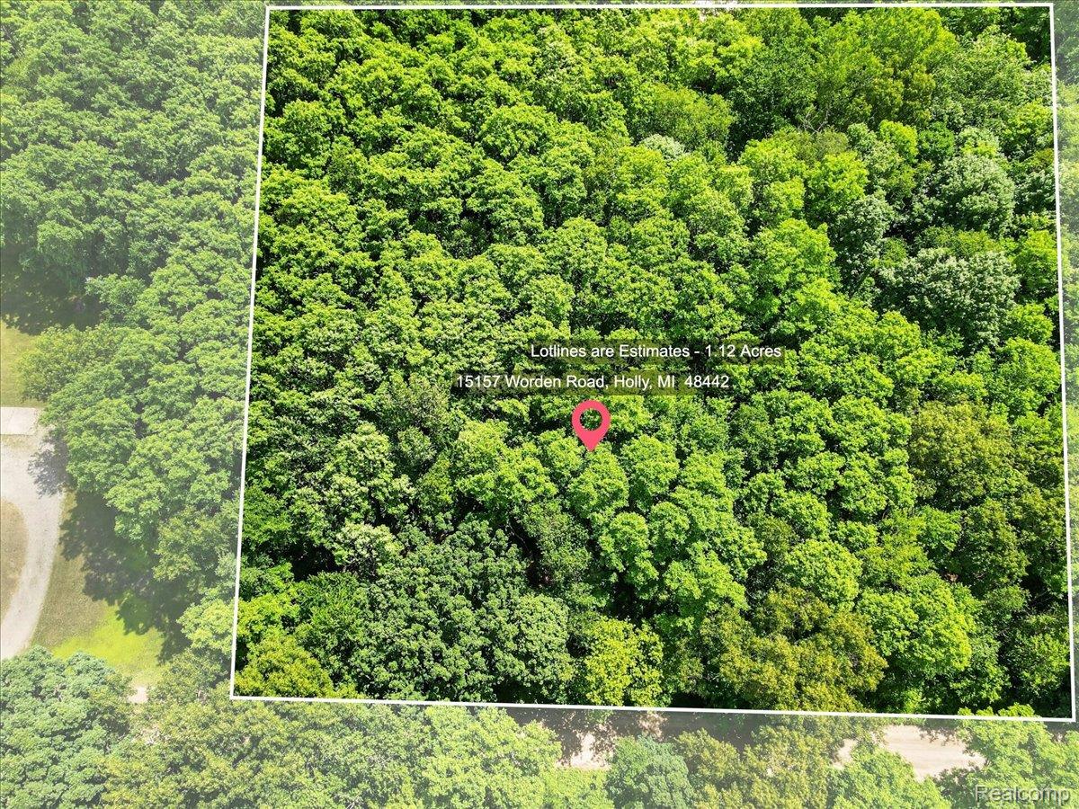 15157 Worden Rd. Property Photo 21