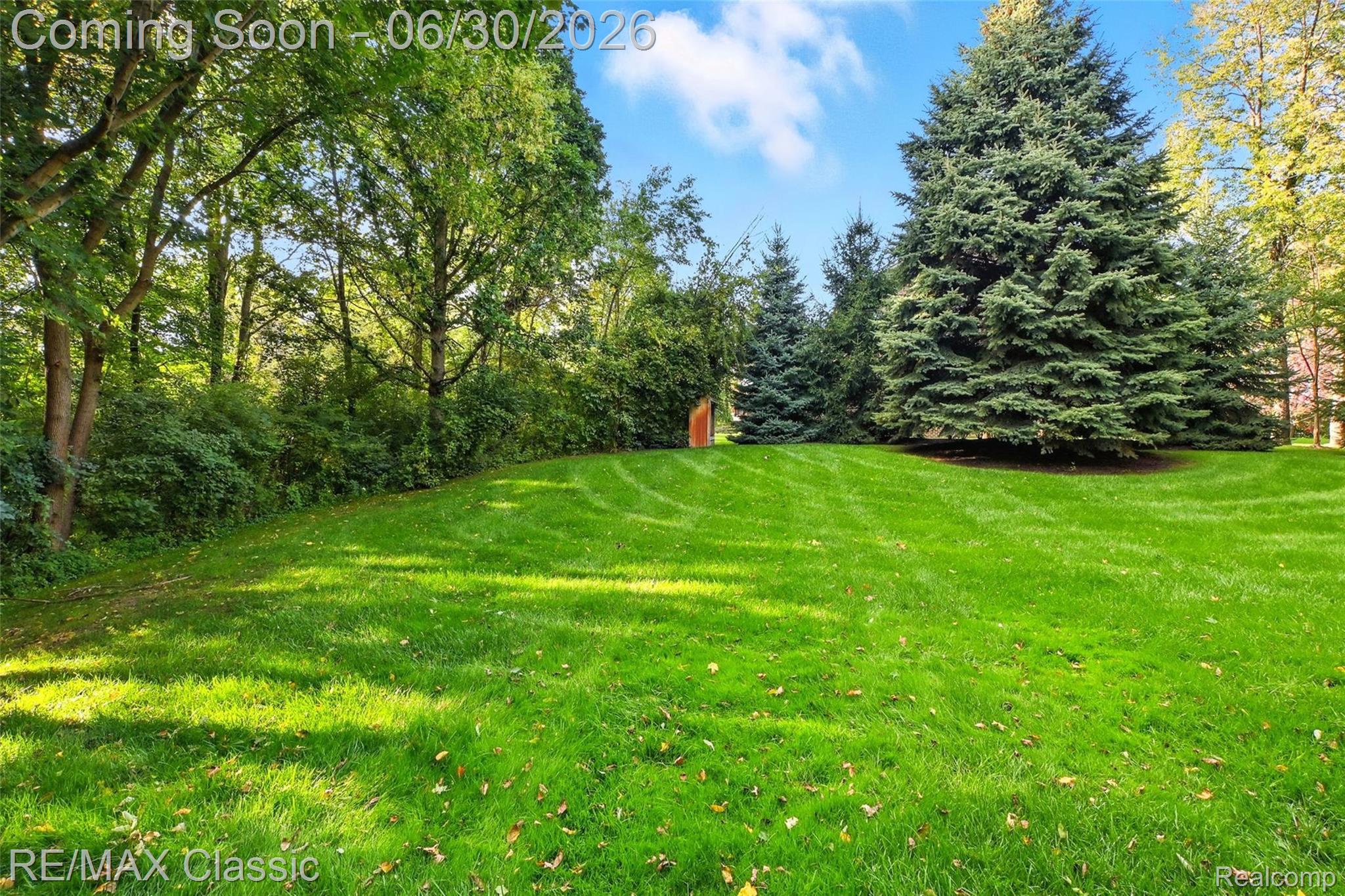 8033 Pine Ridge Court Property Photo 45