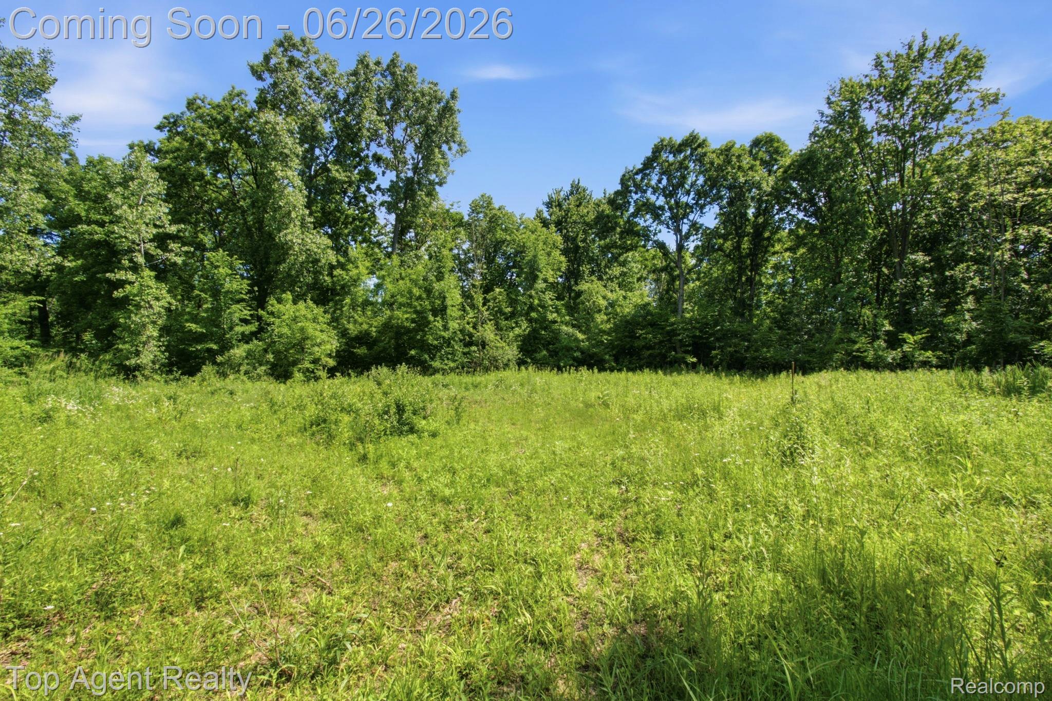 657 Donna Mae Property Photo 11