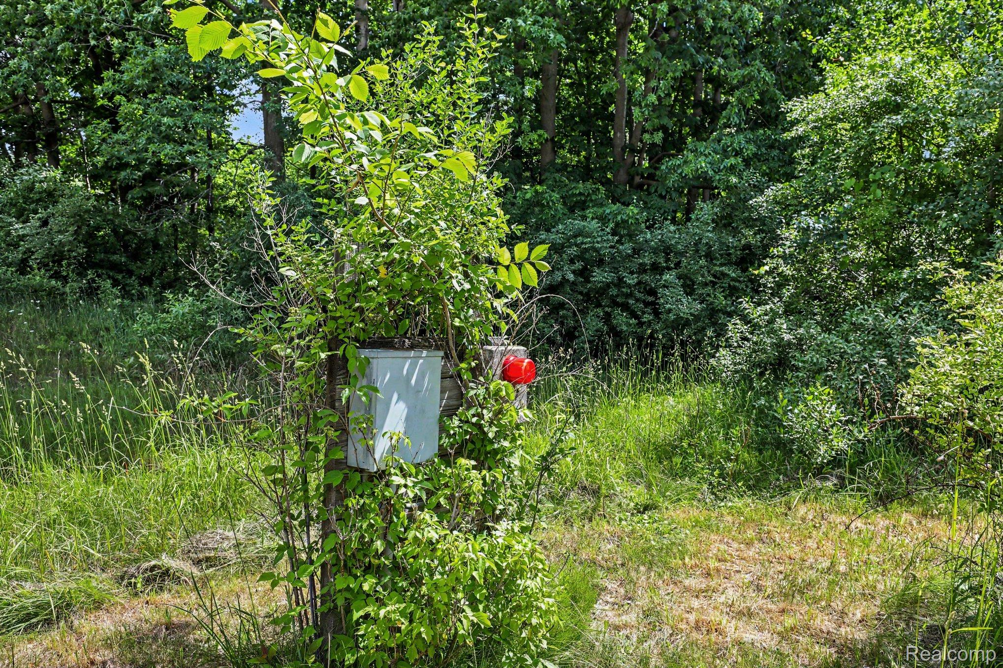 4202 Kingston Road Property Photo 31