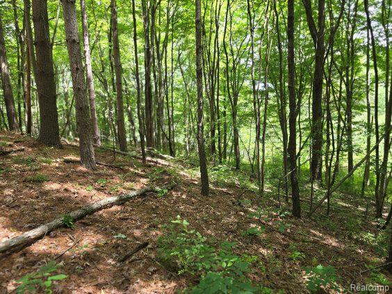 4202 Kingston Road Property Photo 38