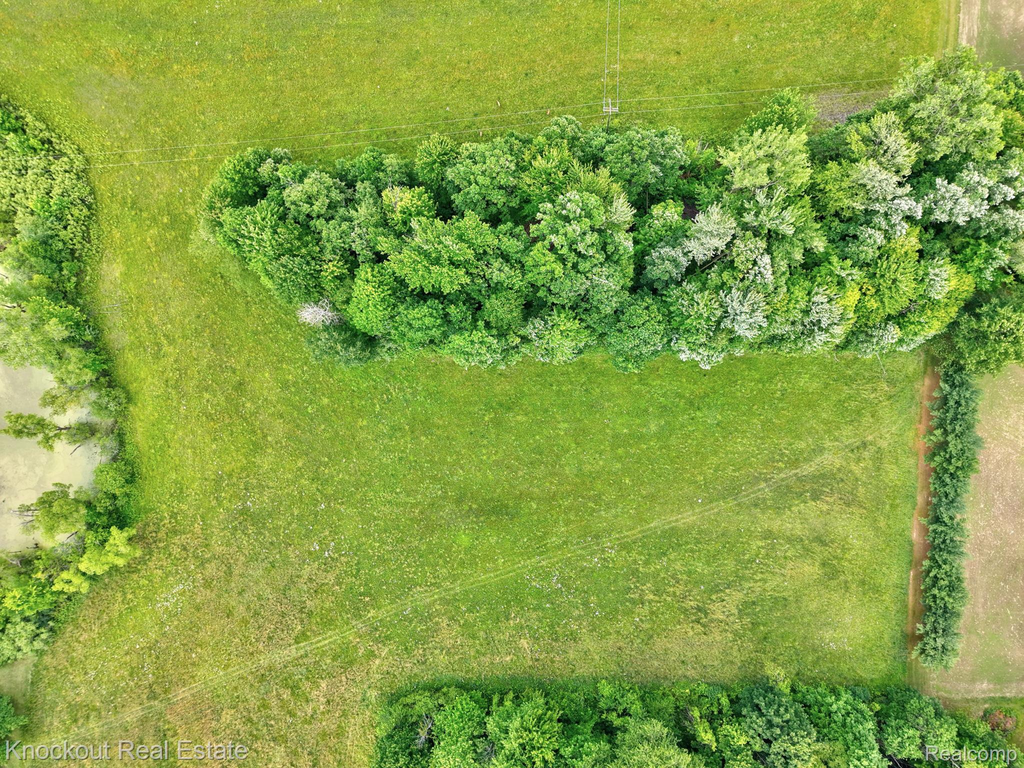 4500 Birch Run Road Property Photo 14