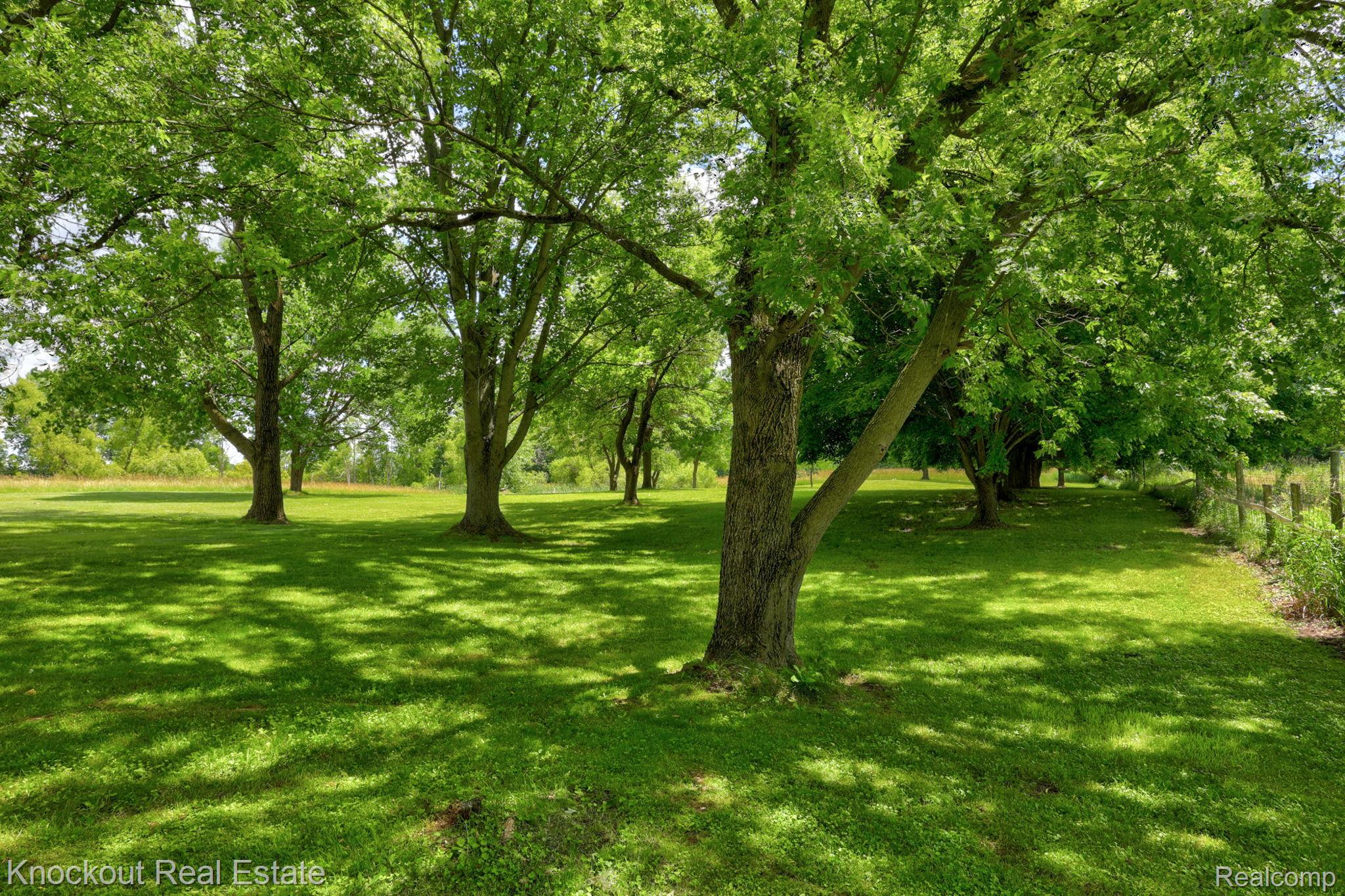 4585 Birch Run Road Property Photo 44