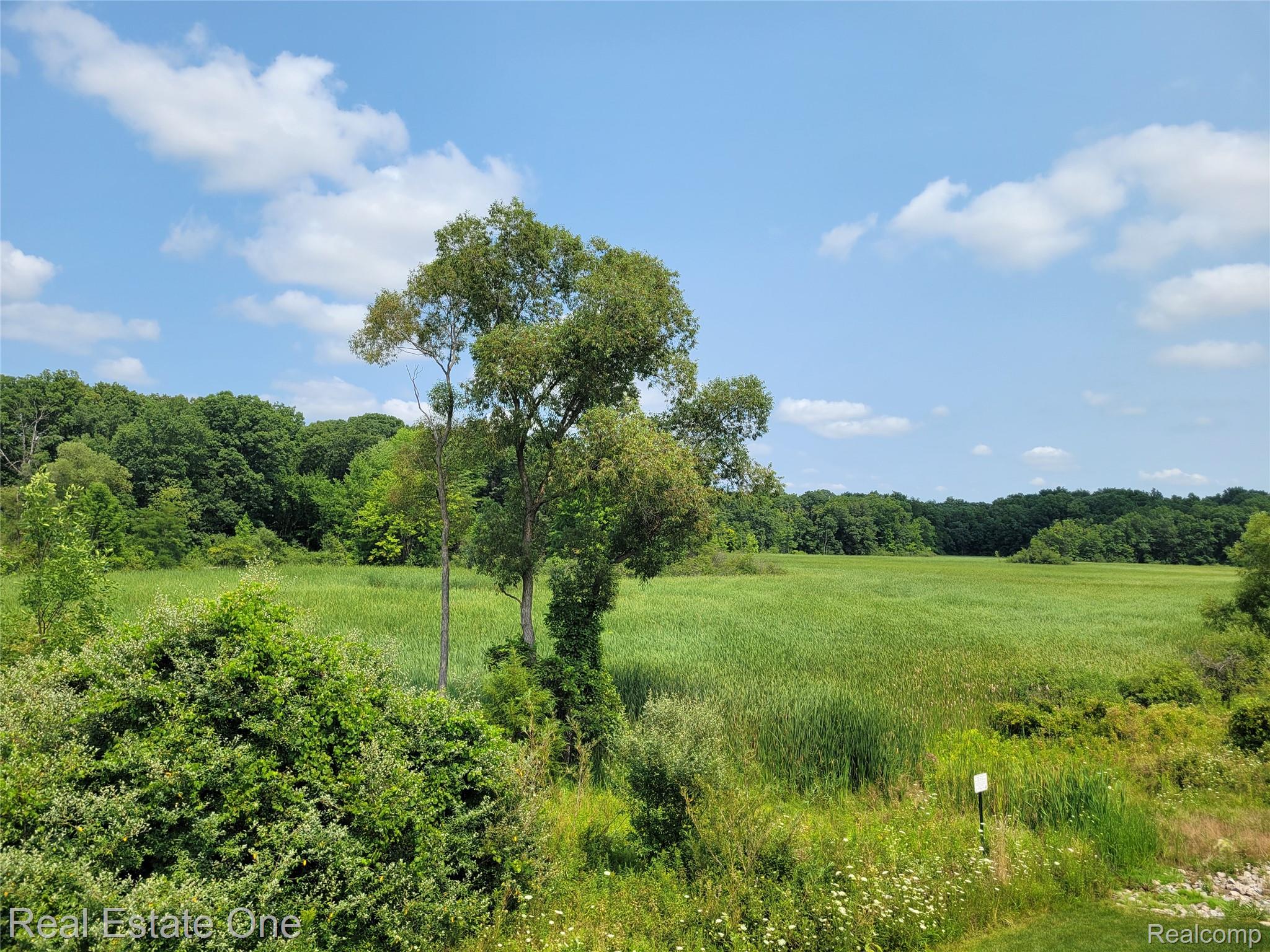 5318 Trail Vista Drive Property Photo 2