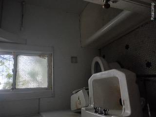 229 Chalmers Street Property Photo 5