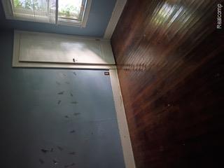 229 Chalmers Street Property Photo 7