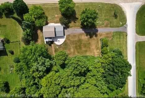 4109 Loves Creek Property Photo 7