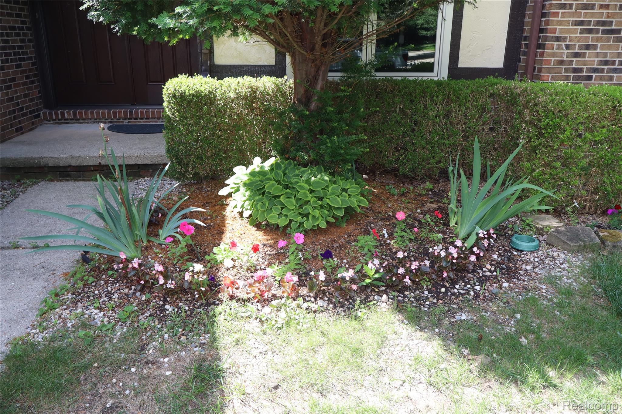 2800 Ranieri Drive Property Photo 5