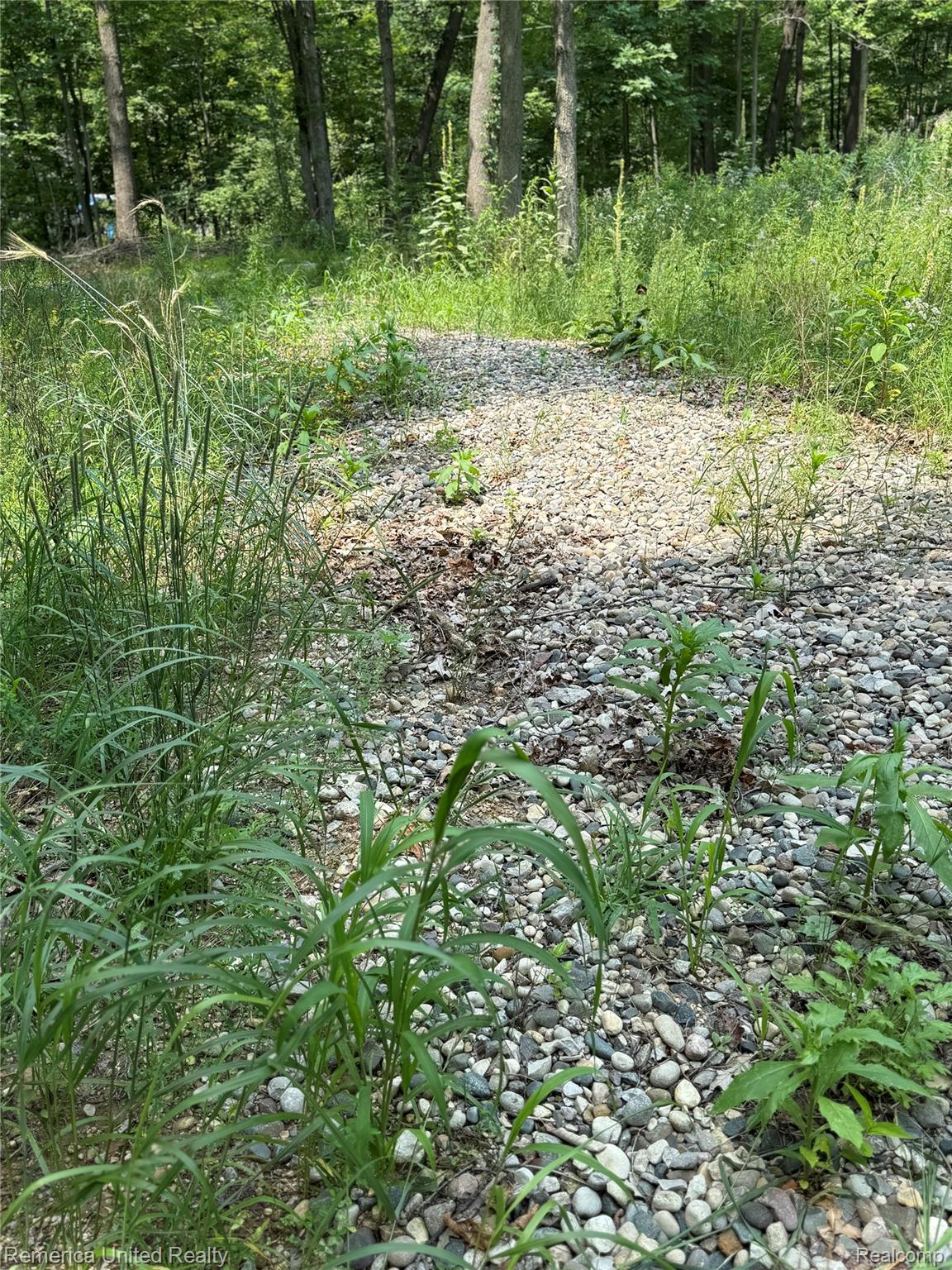 5550 Fisher Road Property Photo 7