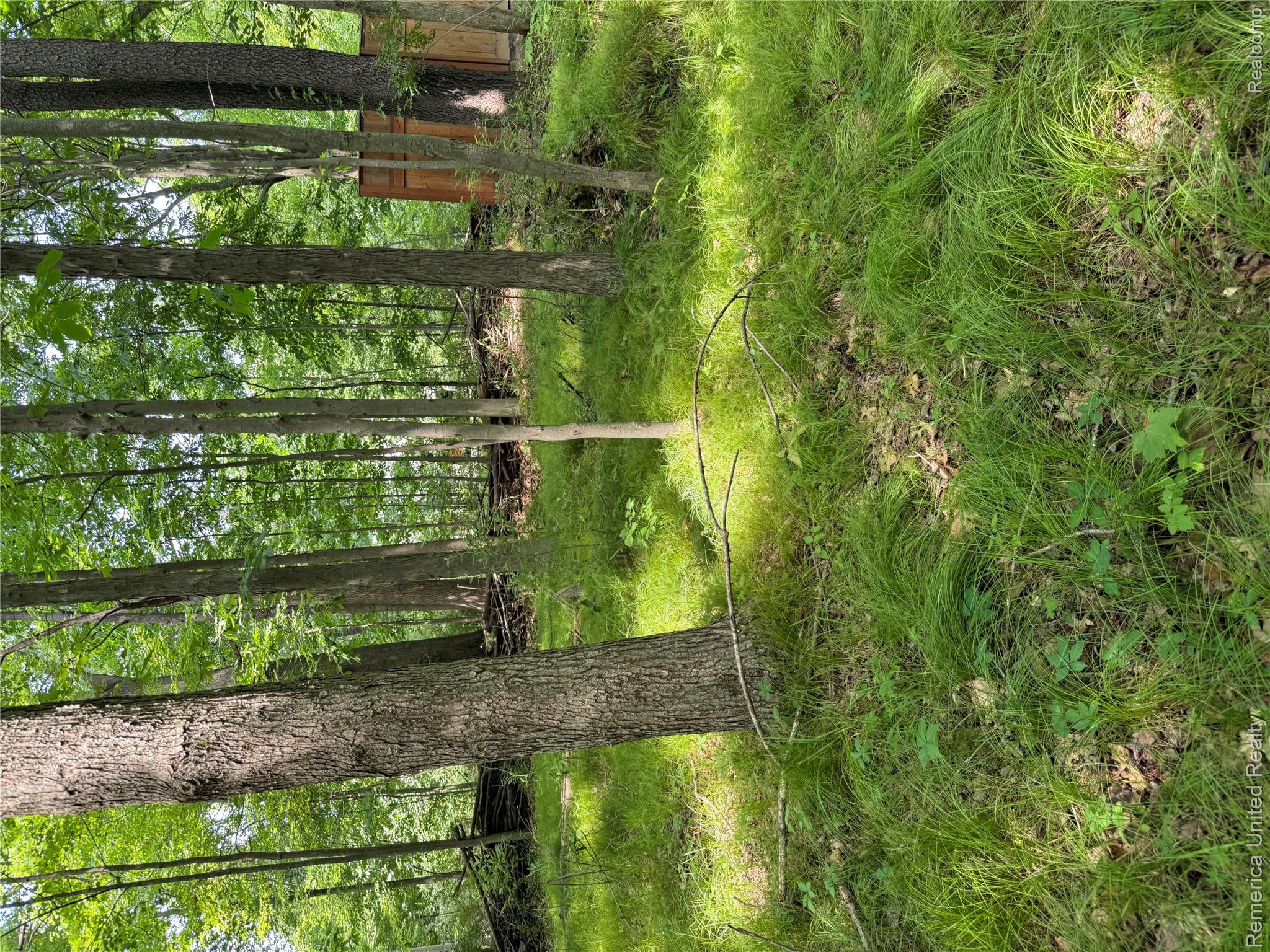 5550 Fisher Road Property Photo 8