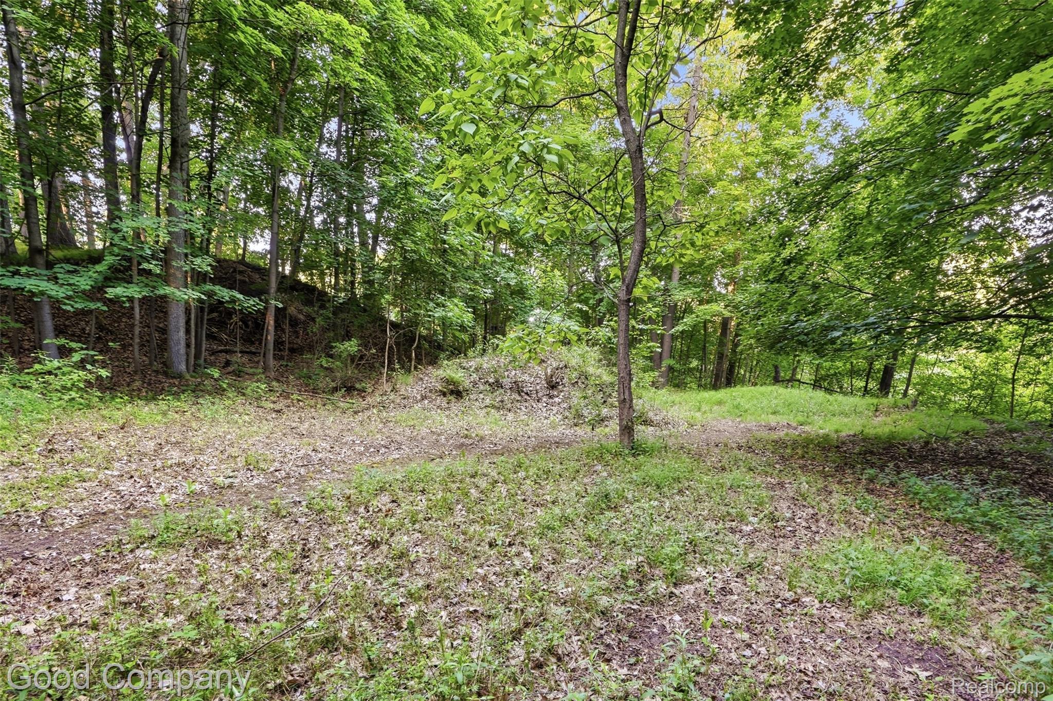 4575 Orion Road Property Photo 13