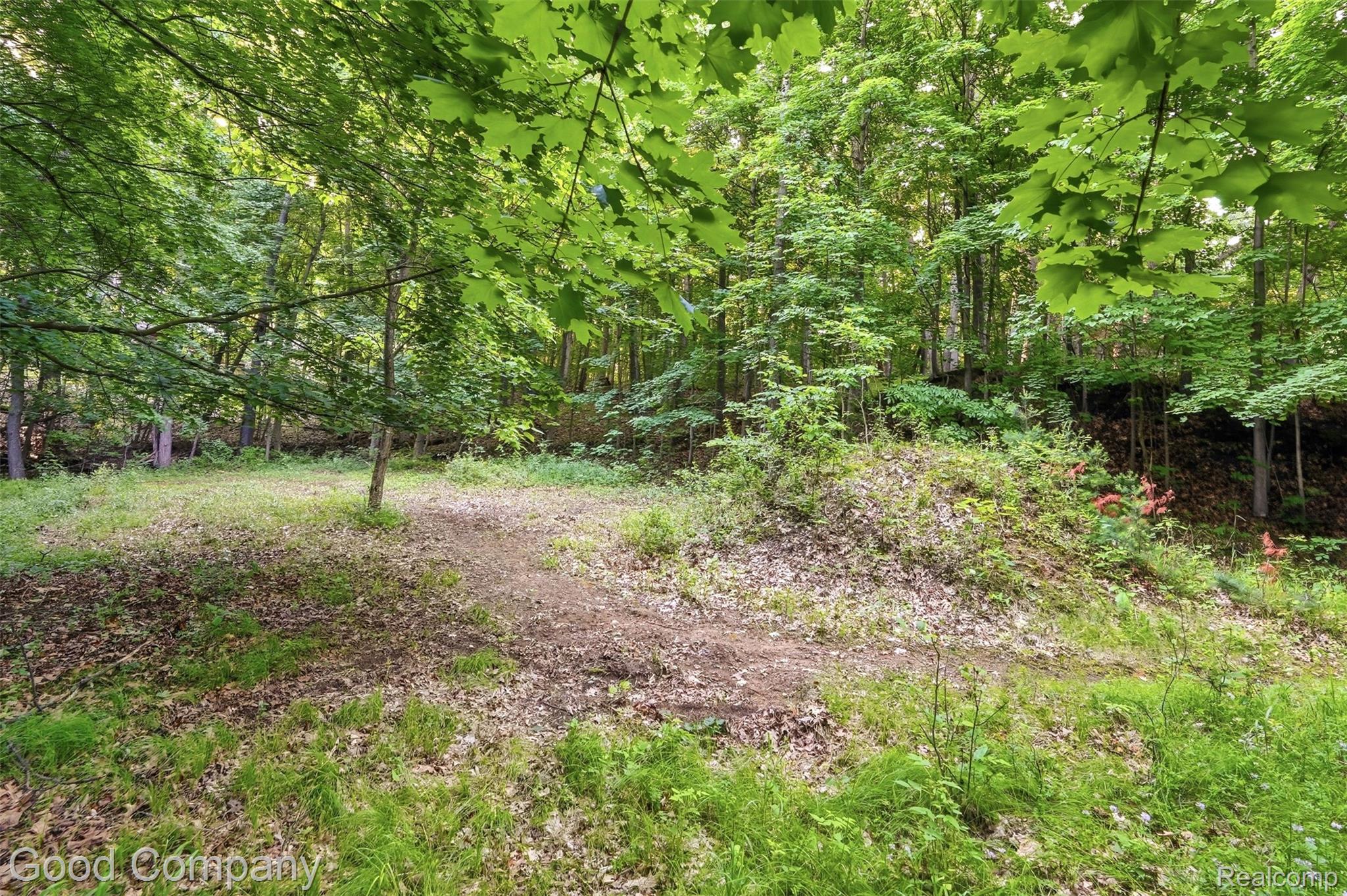 4575 Orion Road Property Photo 15