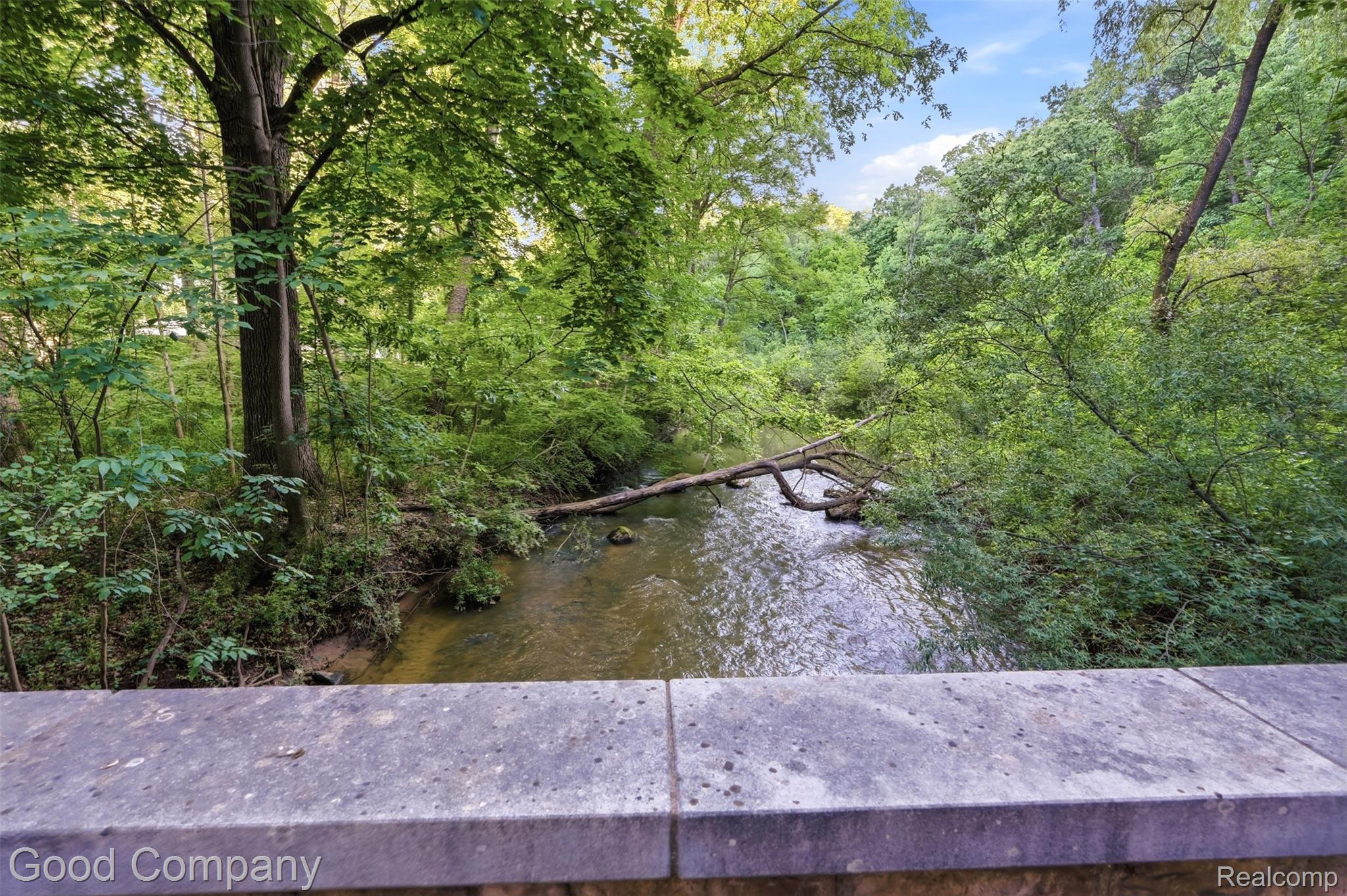 4575 Orion Road Property Photo 20