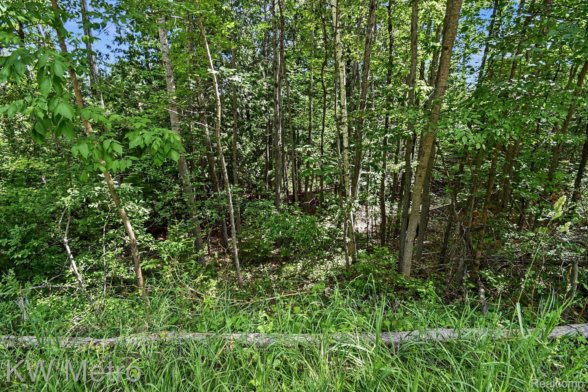 N/a Franklin Trail Property Photo 6