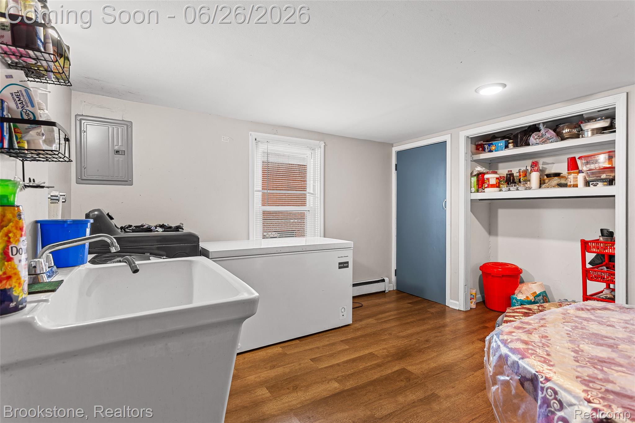 25141 Burt Property Photo 16