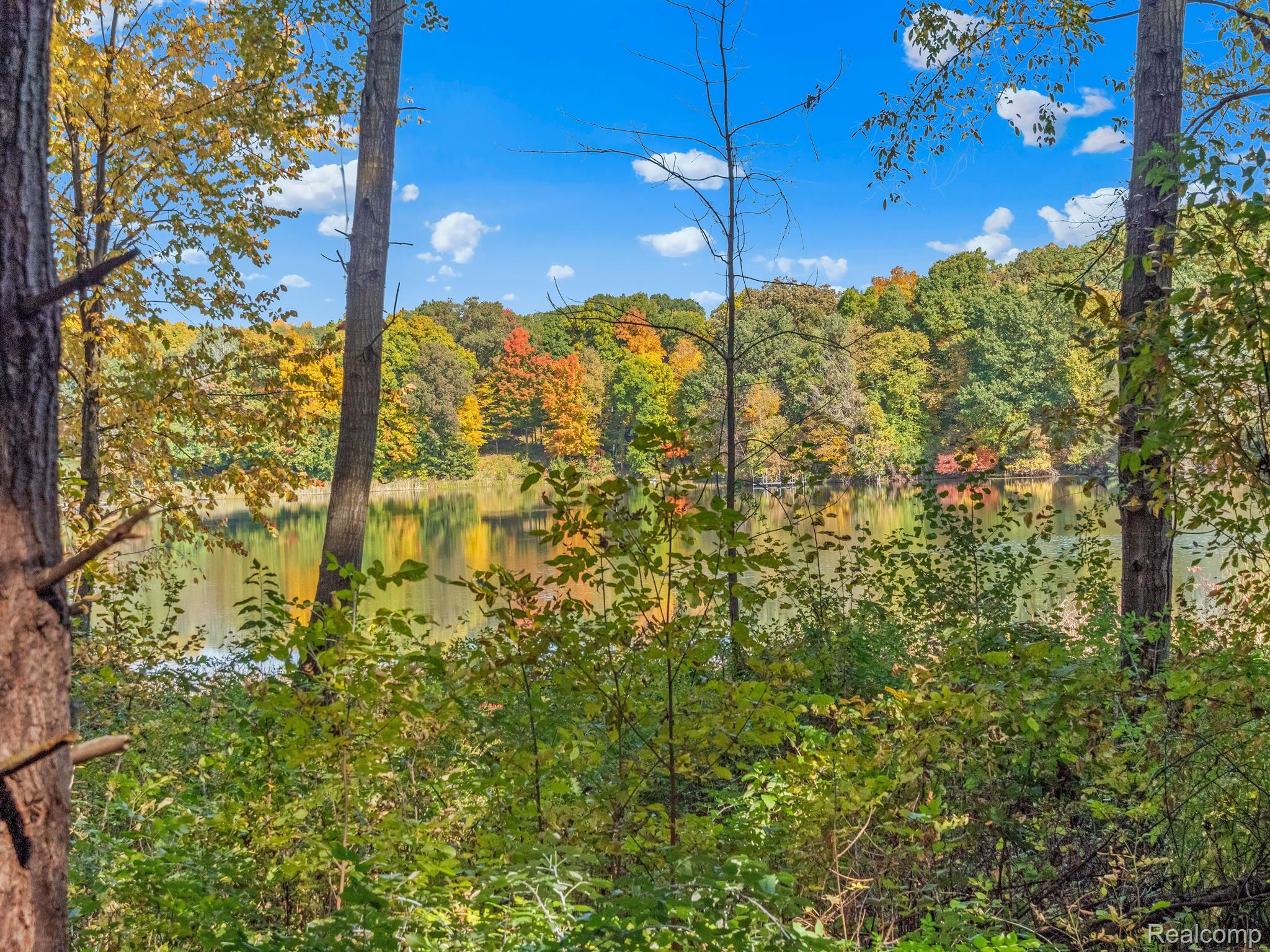 4695 Waterwood Way Property Photo 10