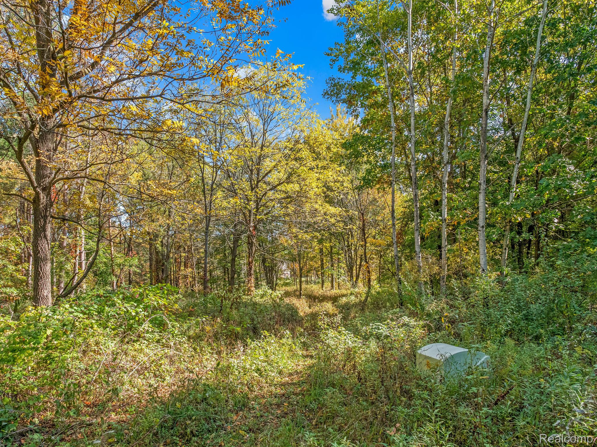 4695 Waterwood Way Property Photo 15