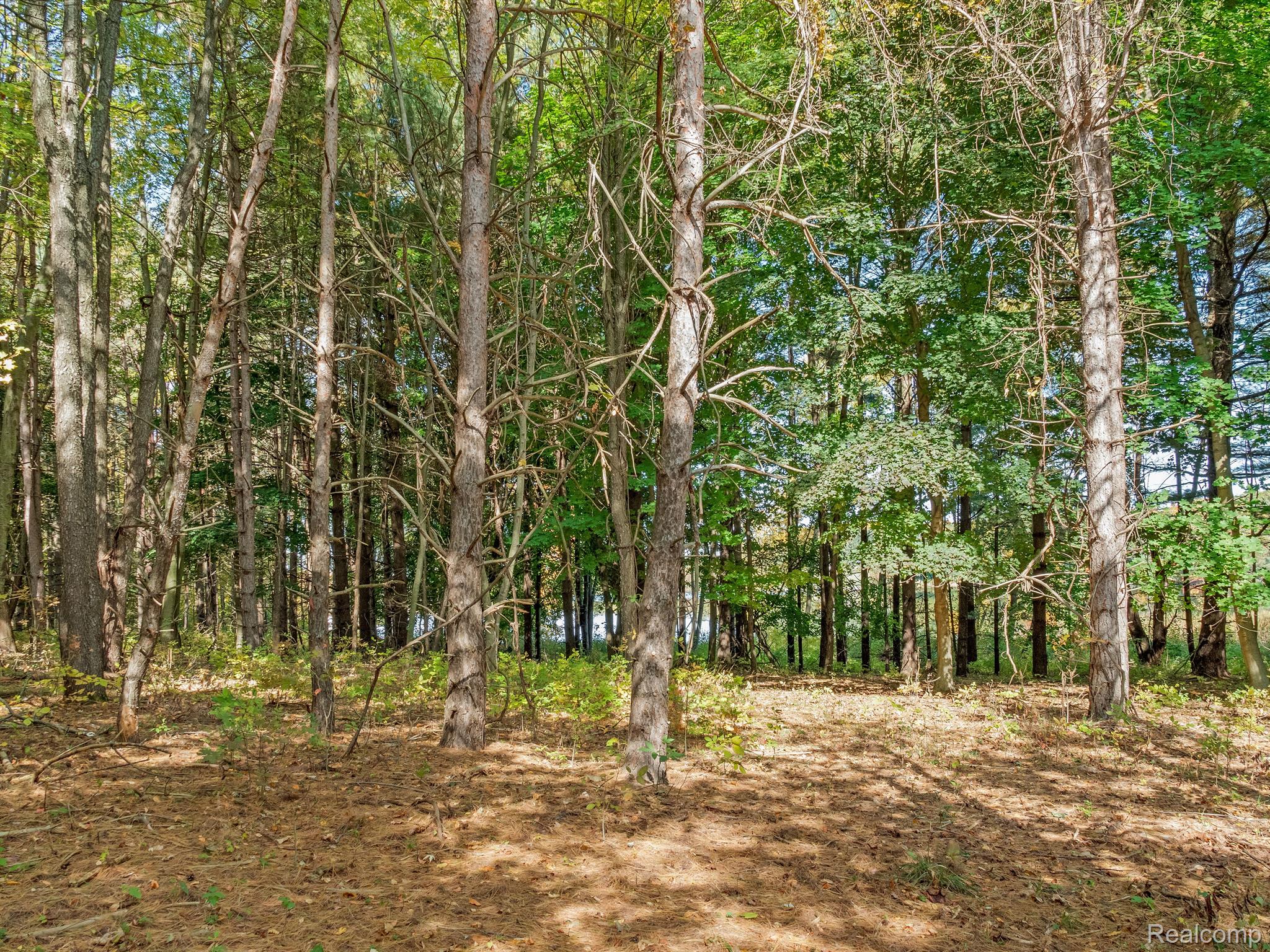 4695 Waterwood Way Property Photo 17