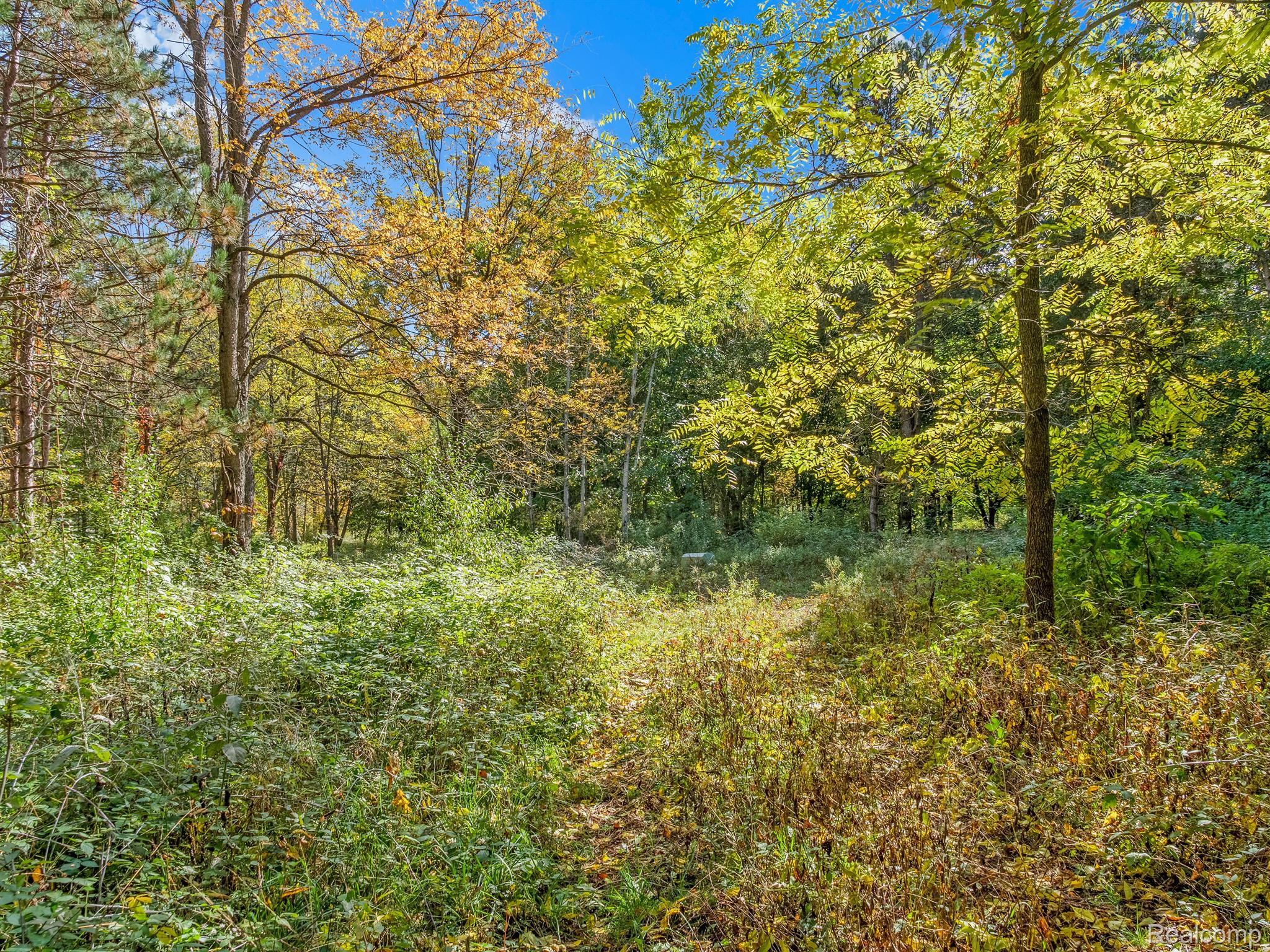 4695 Waterwood Way Property Photo 20