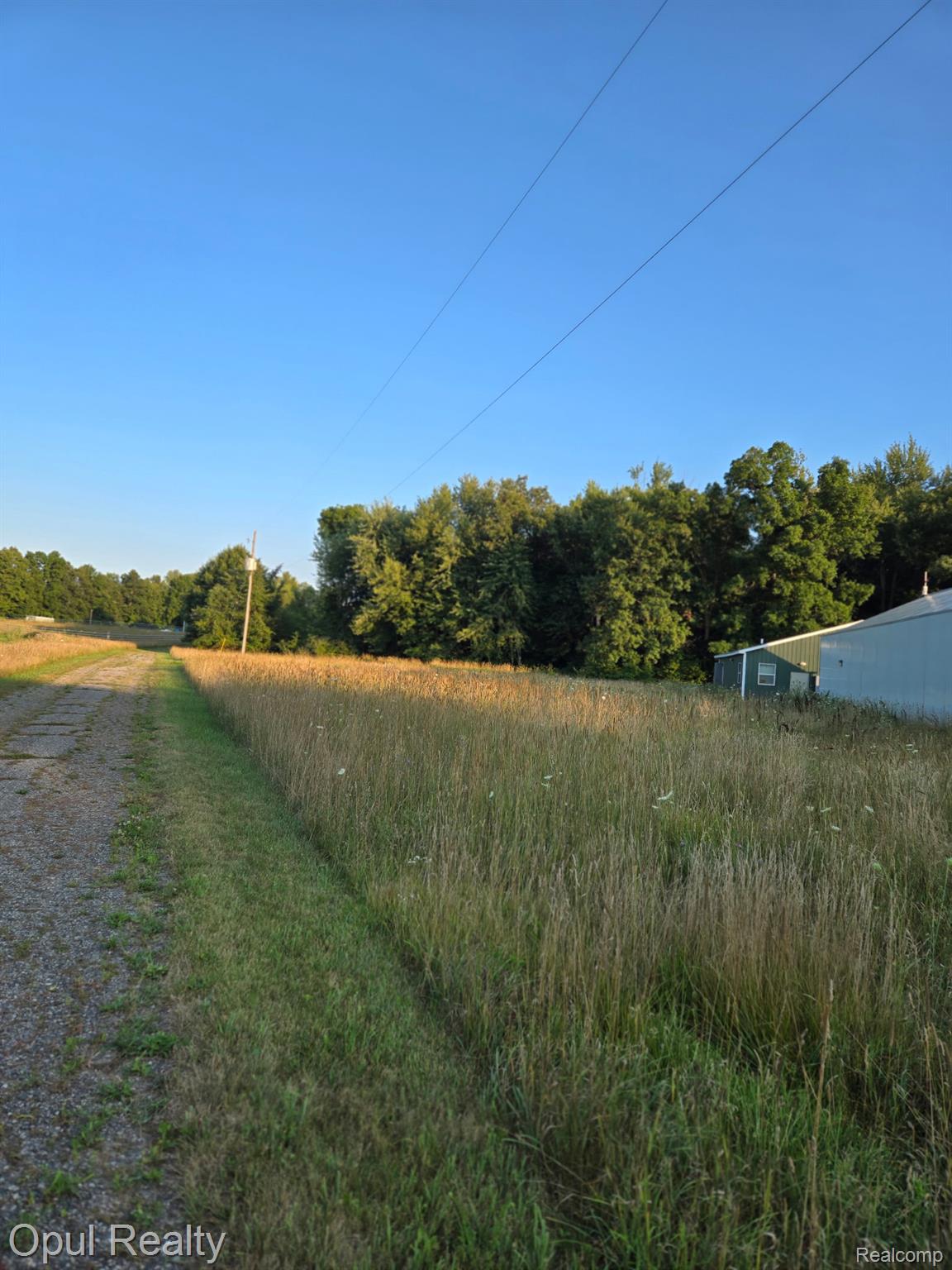7503 Reading Road Property Photo 56