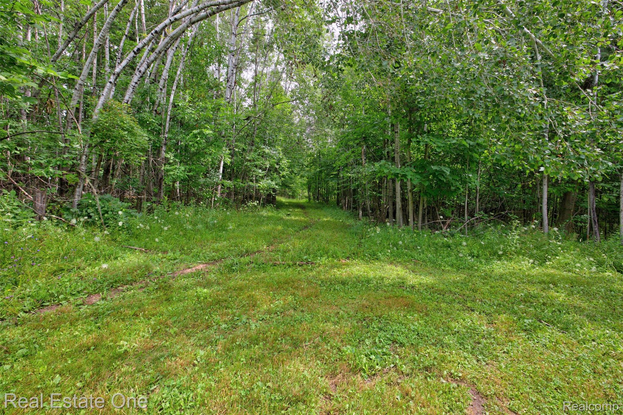 7250 Artesian Trail Property Photo 68