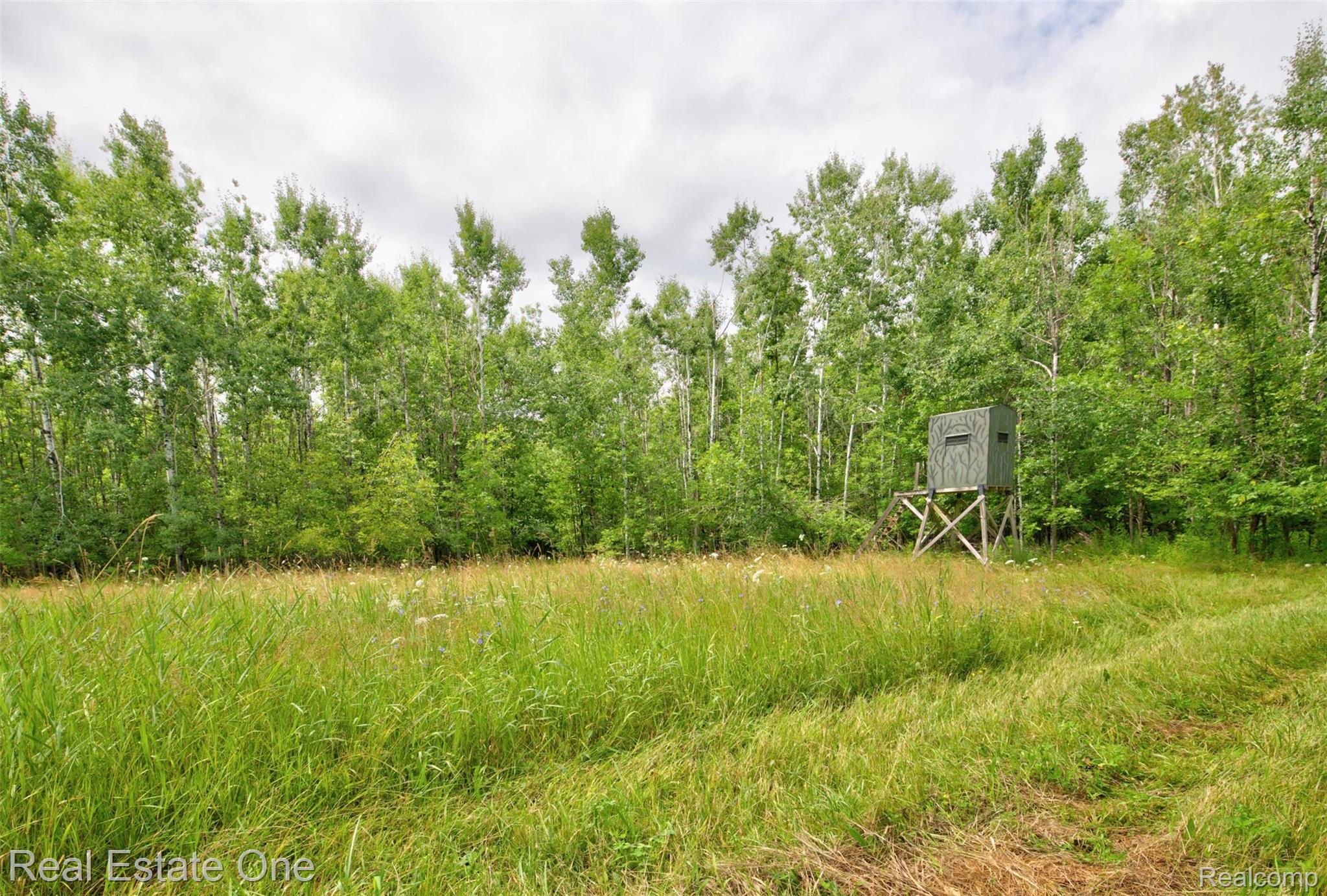 7250 Artesian Trail Property Photo 69