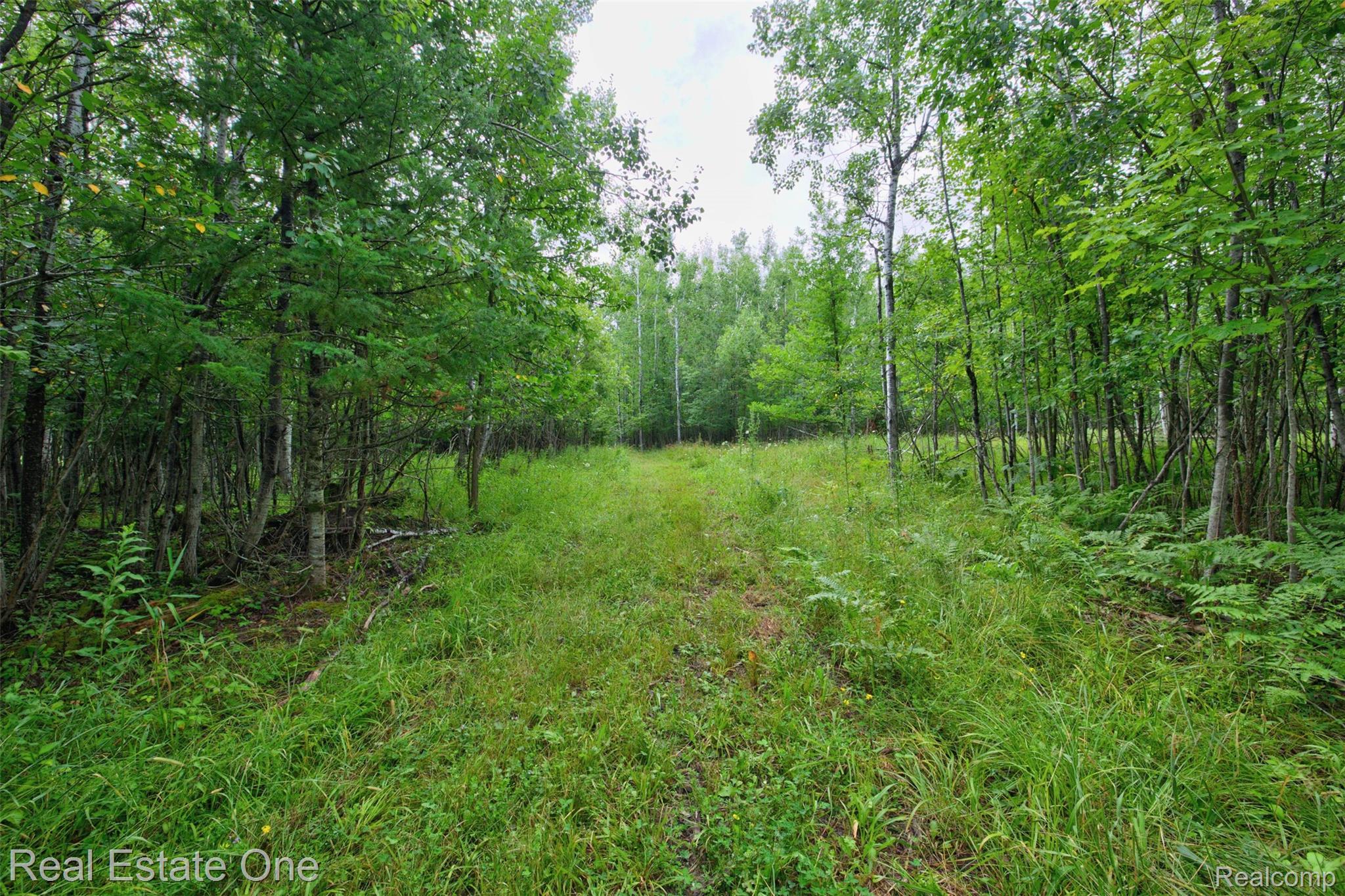 7250 Artesian Trail Property Photo 70