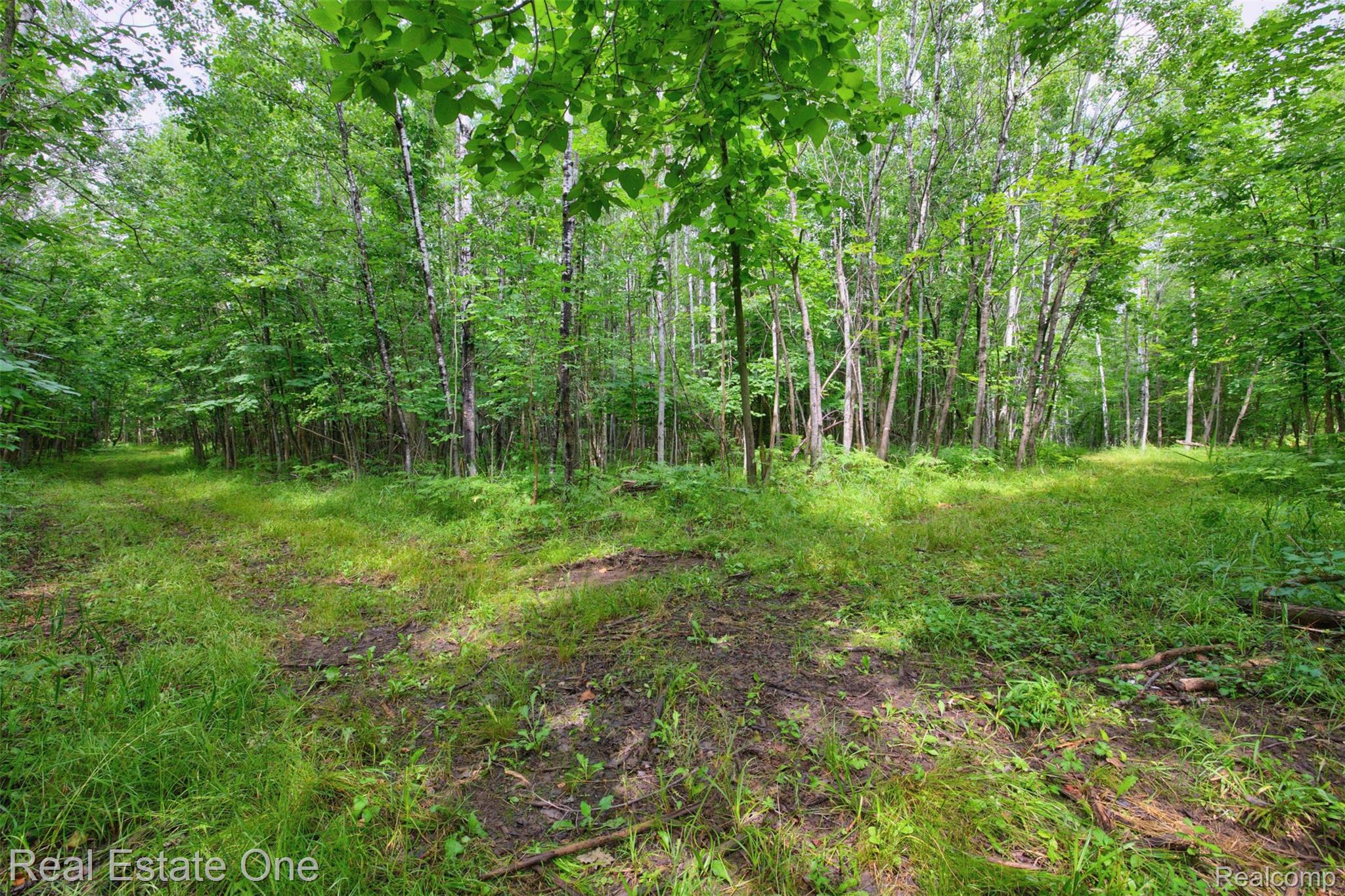 7250 Artesian Trail Property Photo 73