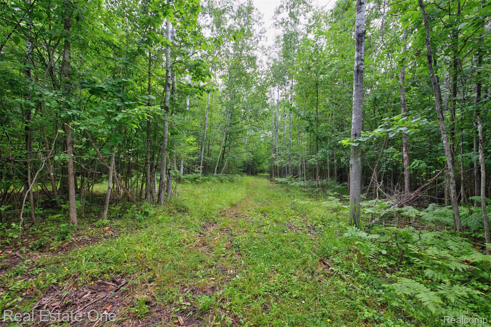 7250 Artesian Trail Property Photo 74