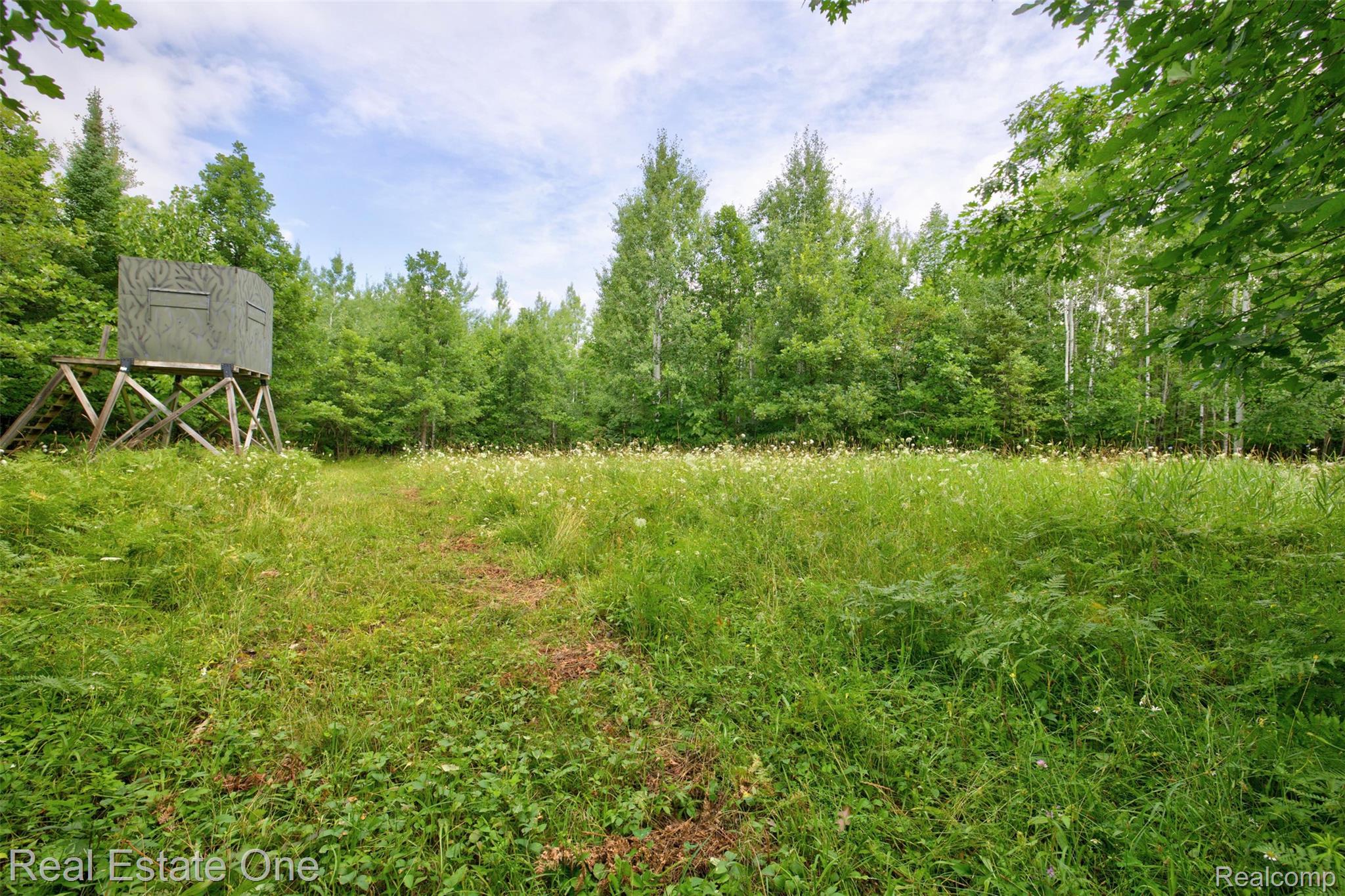 7250 Artesian Trail Property Photo 75