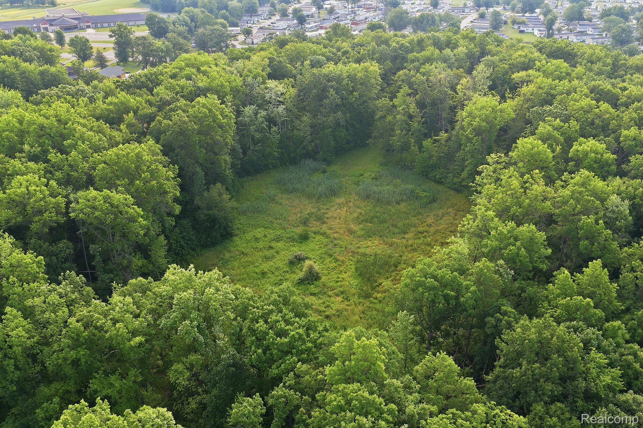 5296 County Line Road Property Photo 7