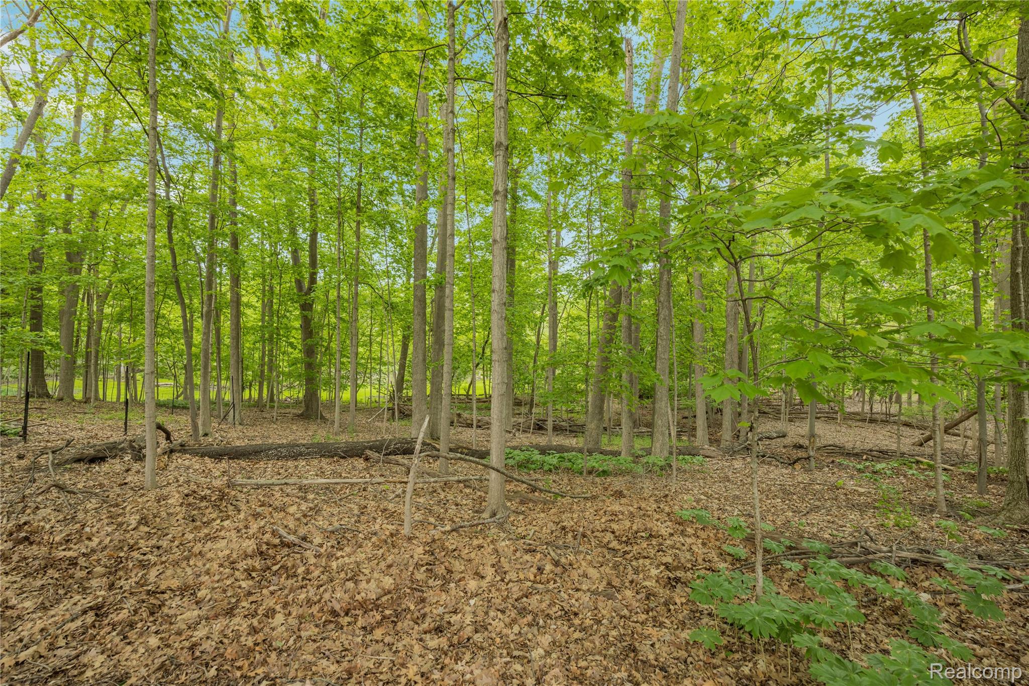 0000 Tioga Property Photo 10