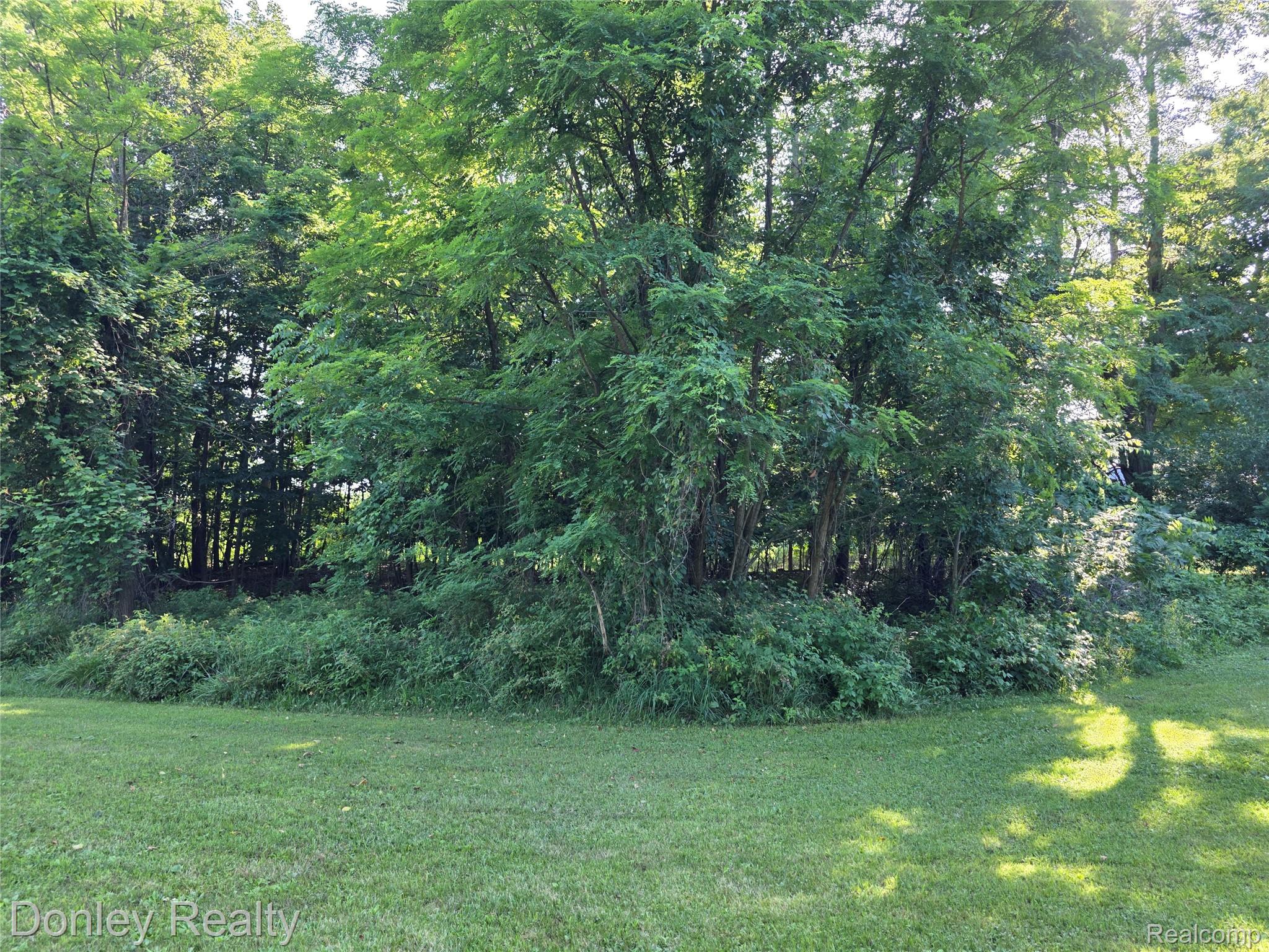 7311 Arendt Road Property Photo 32