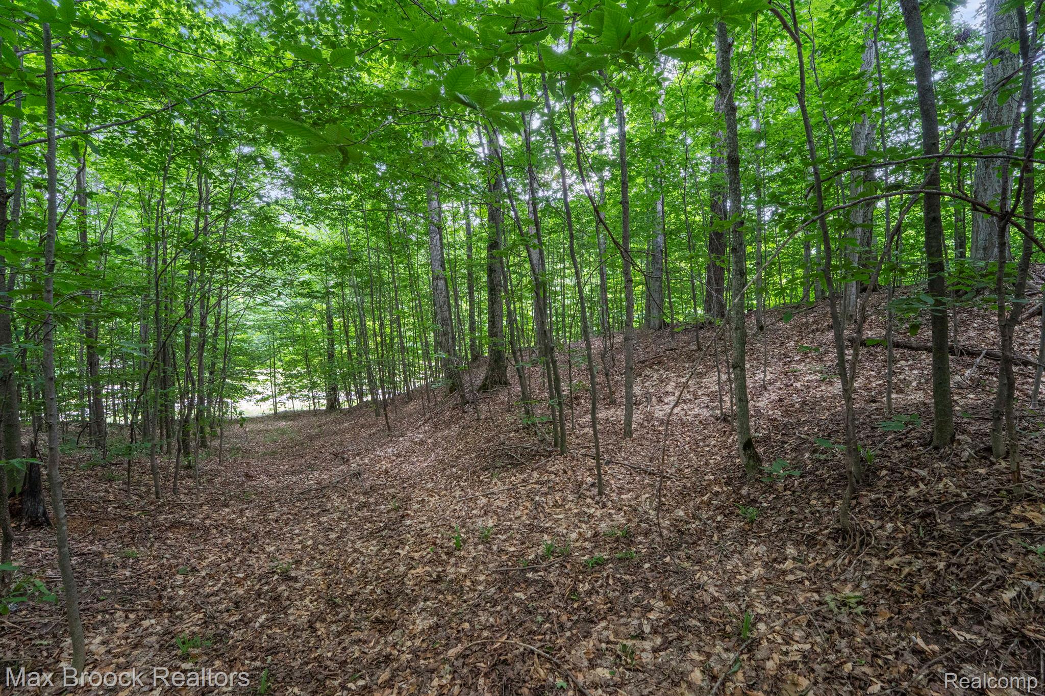 0000 Mackinaw Ridge Property Photo 4