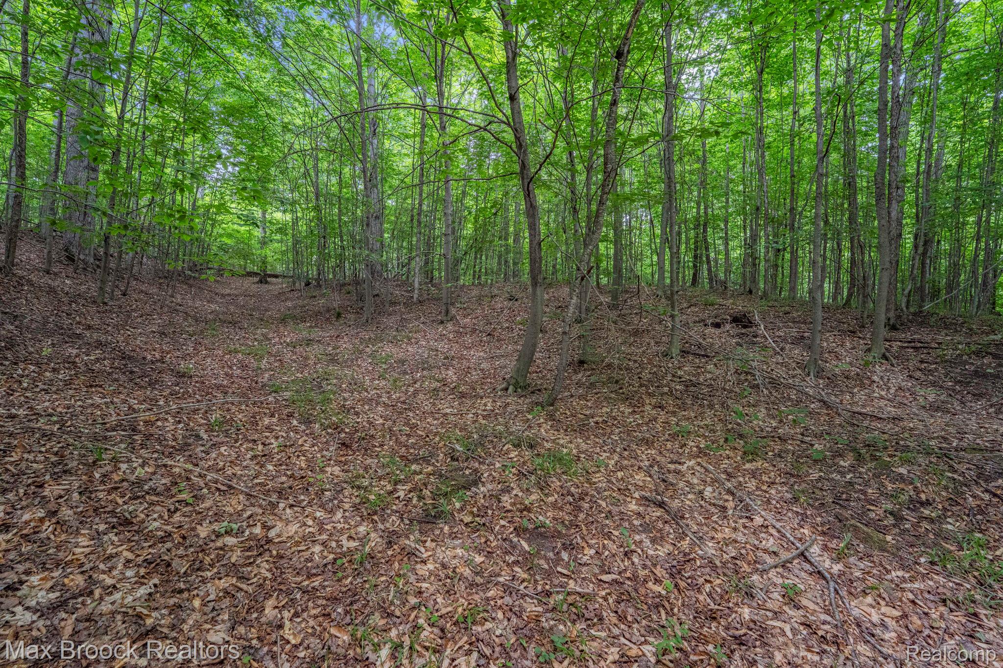 0000 Mackinaw Ridge Property Photo 5
