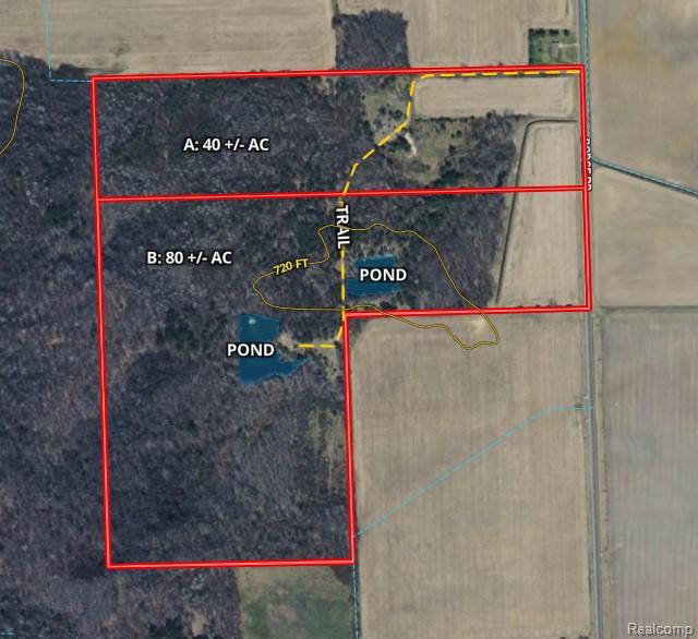 Parcel B Dodge Rd Property Photo 5