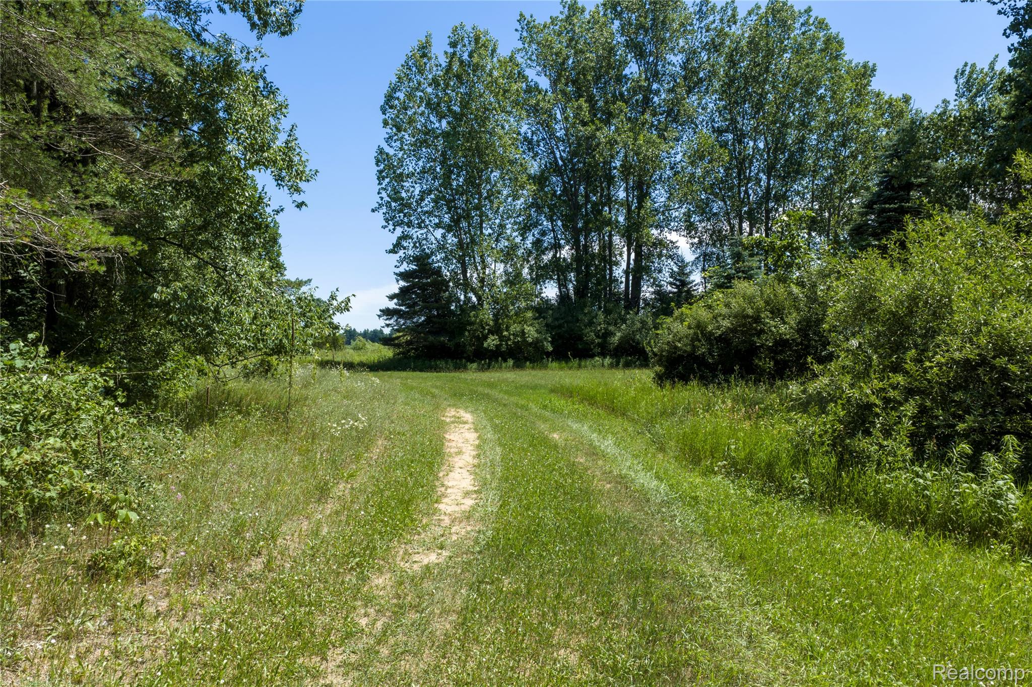 Parcel B Dodge Rd Property Photo 10