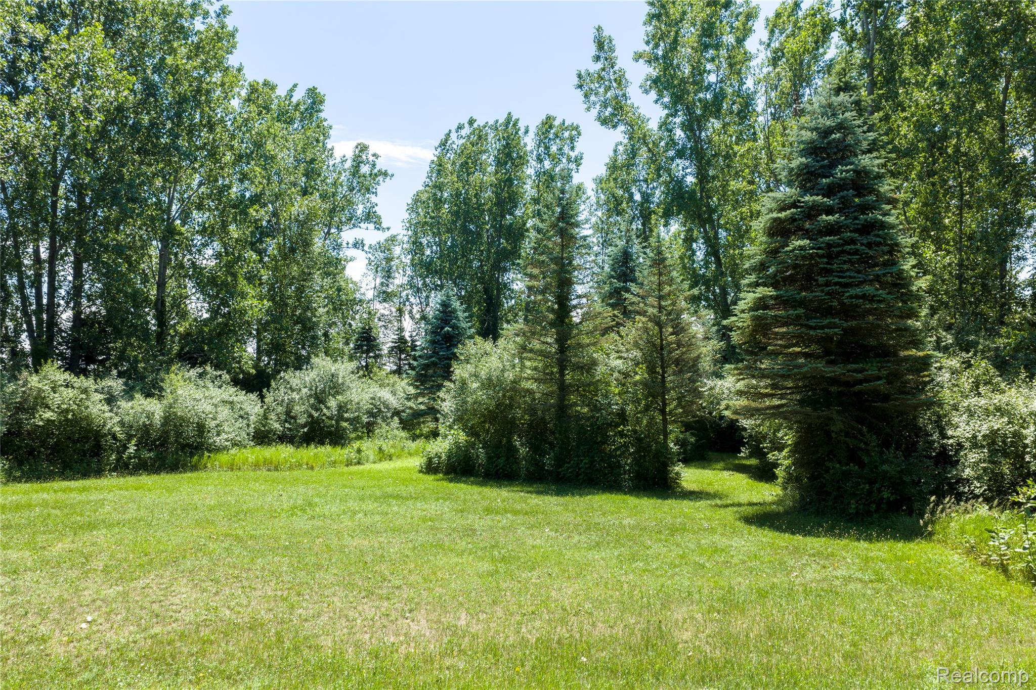 Parcel B Dodge Rd Property Photo 11