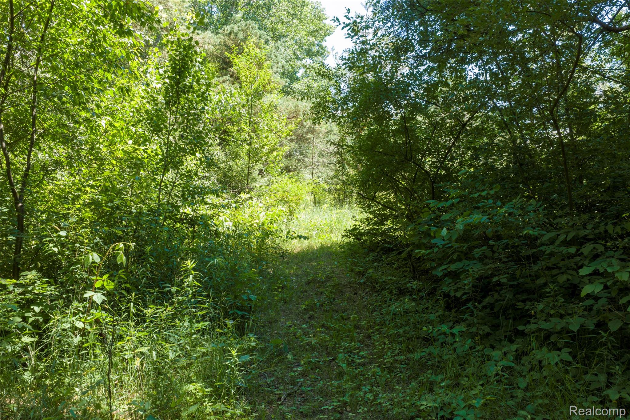 Parcel B Dodge Rd Property Photo 14