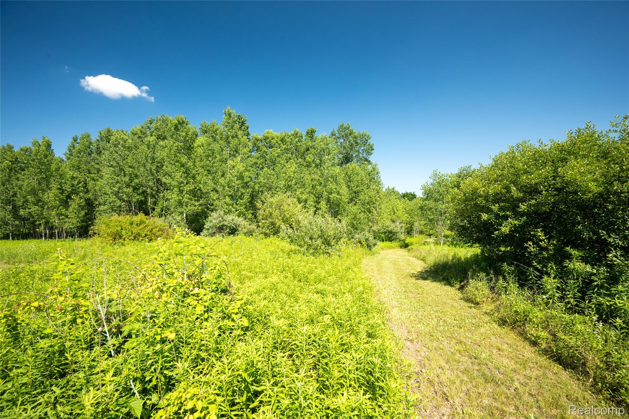 00 Hagerman Road Property Photo 2