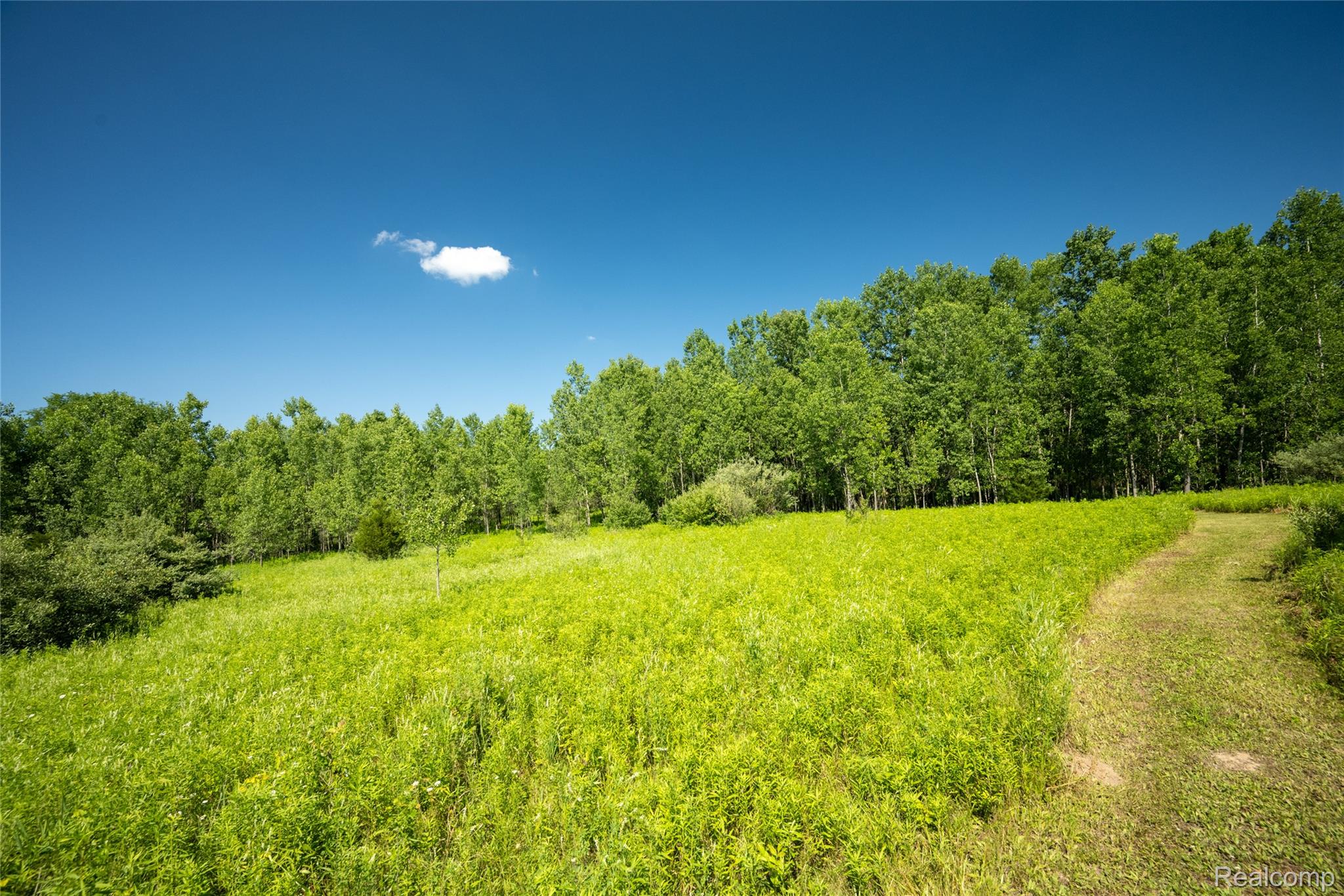 00 Hagerman Road Property Photo 4