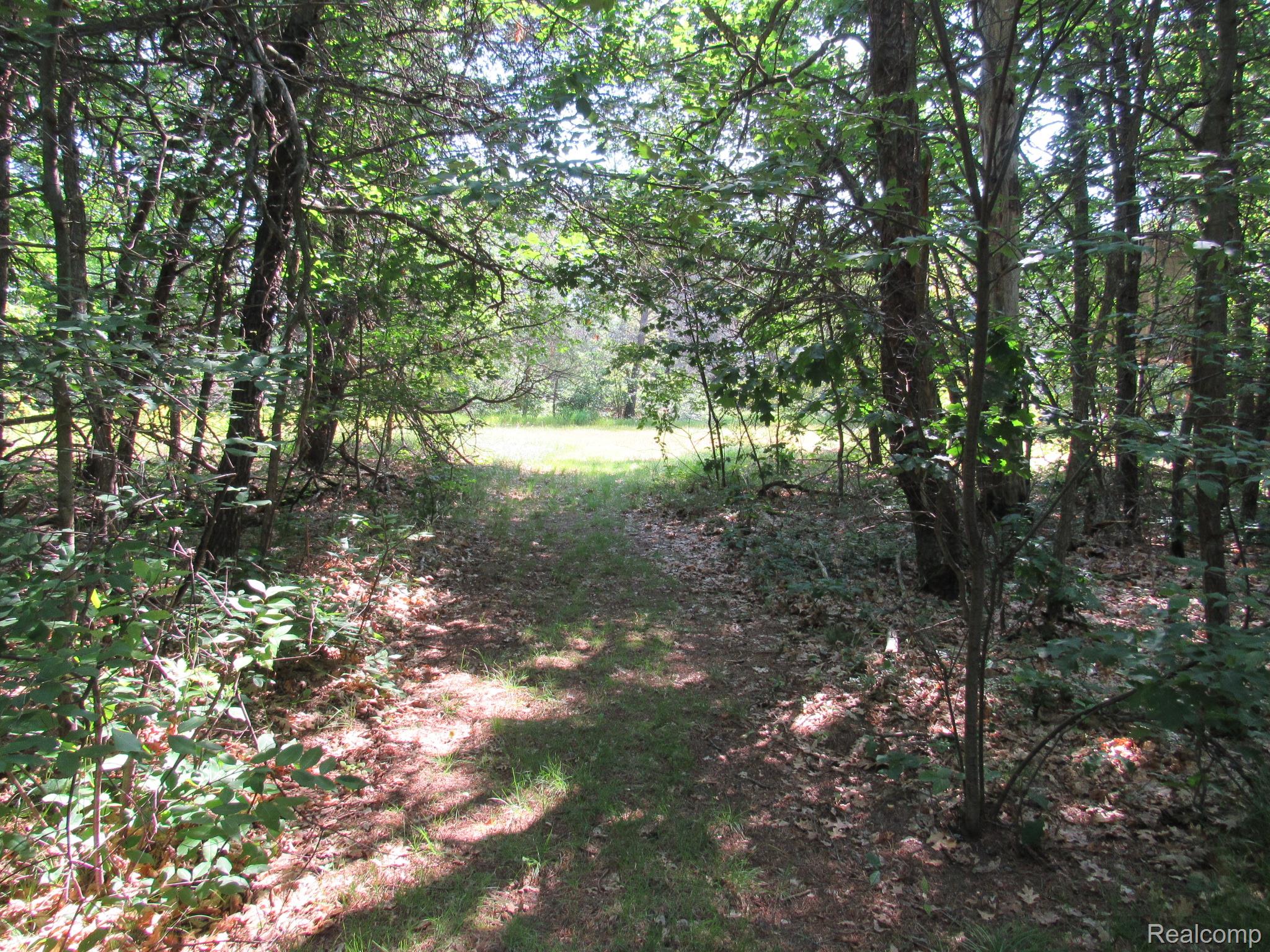 Vl Shepherds Trail 10 Acres Property Photo 44