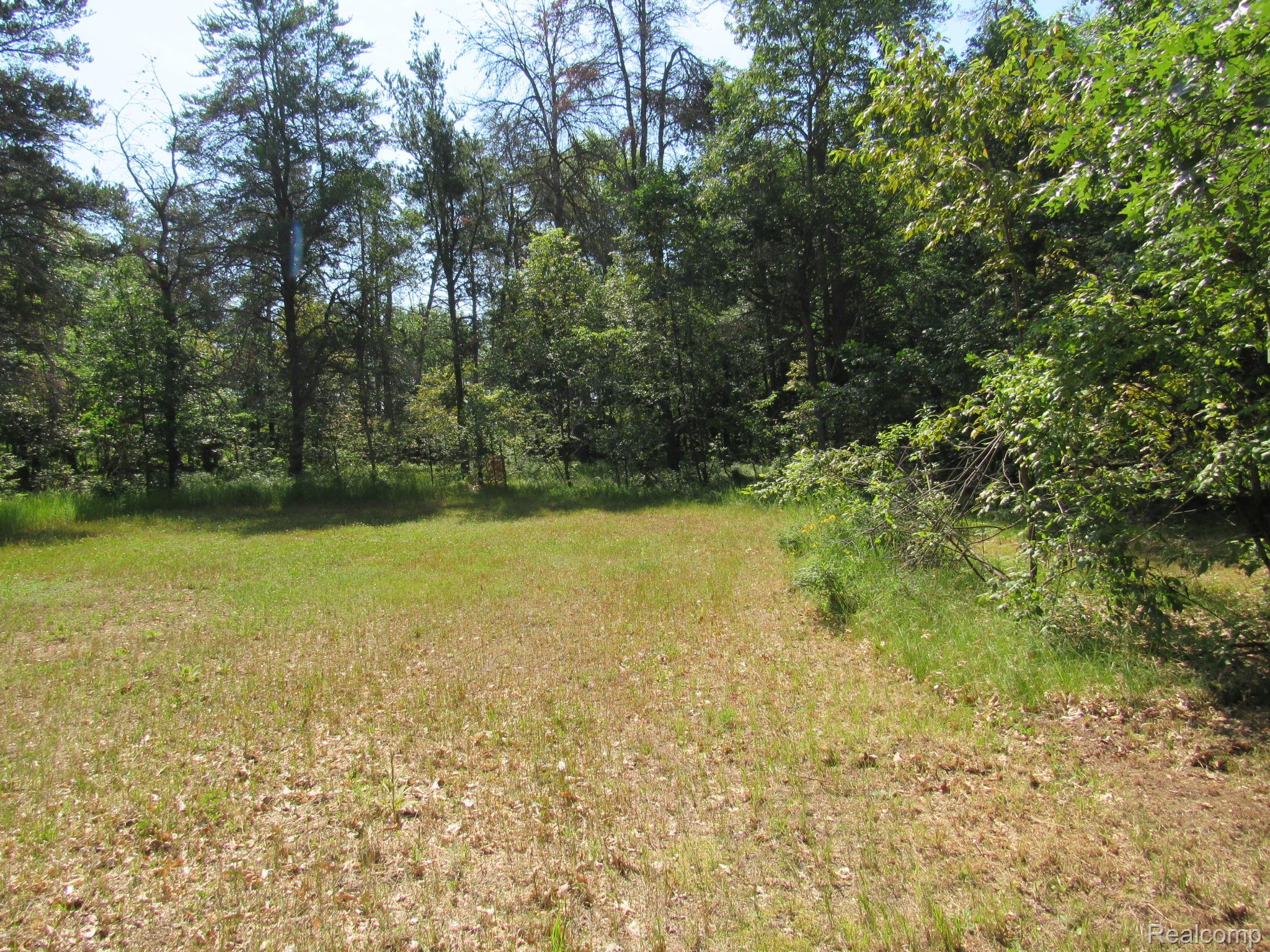 Vl Shepherds Trail 10 Acres Property Photo 45