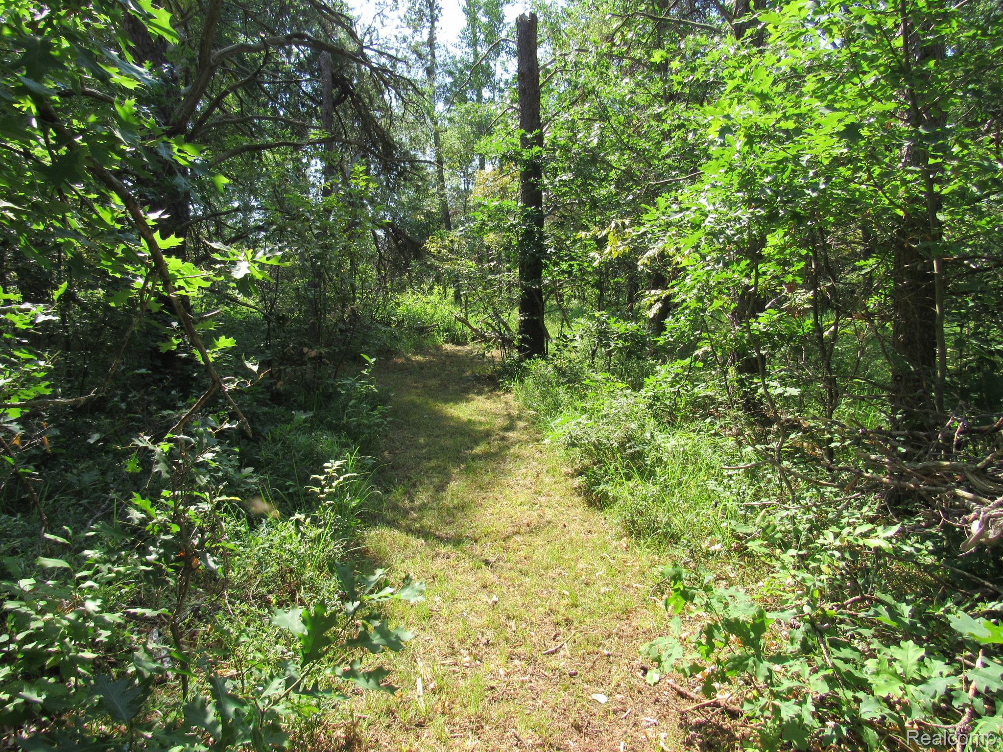 Vl Shepherds Trail 10 Acres Property Photo 48