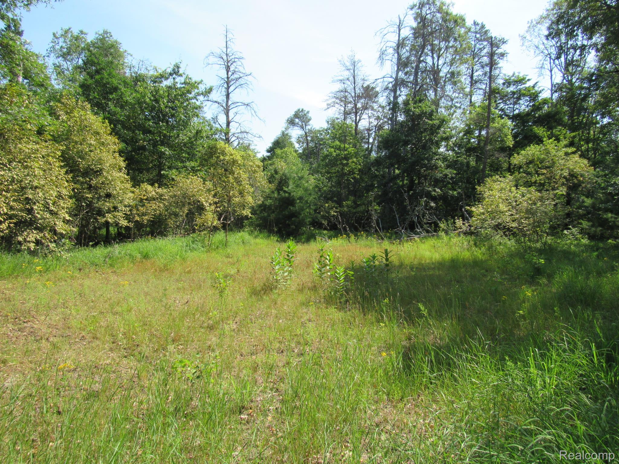 Vl Shepherds Trail 10 Acres Property Photo 49