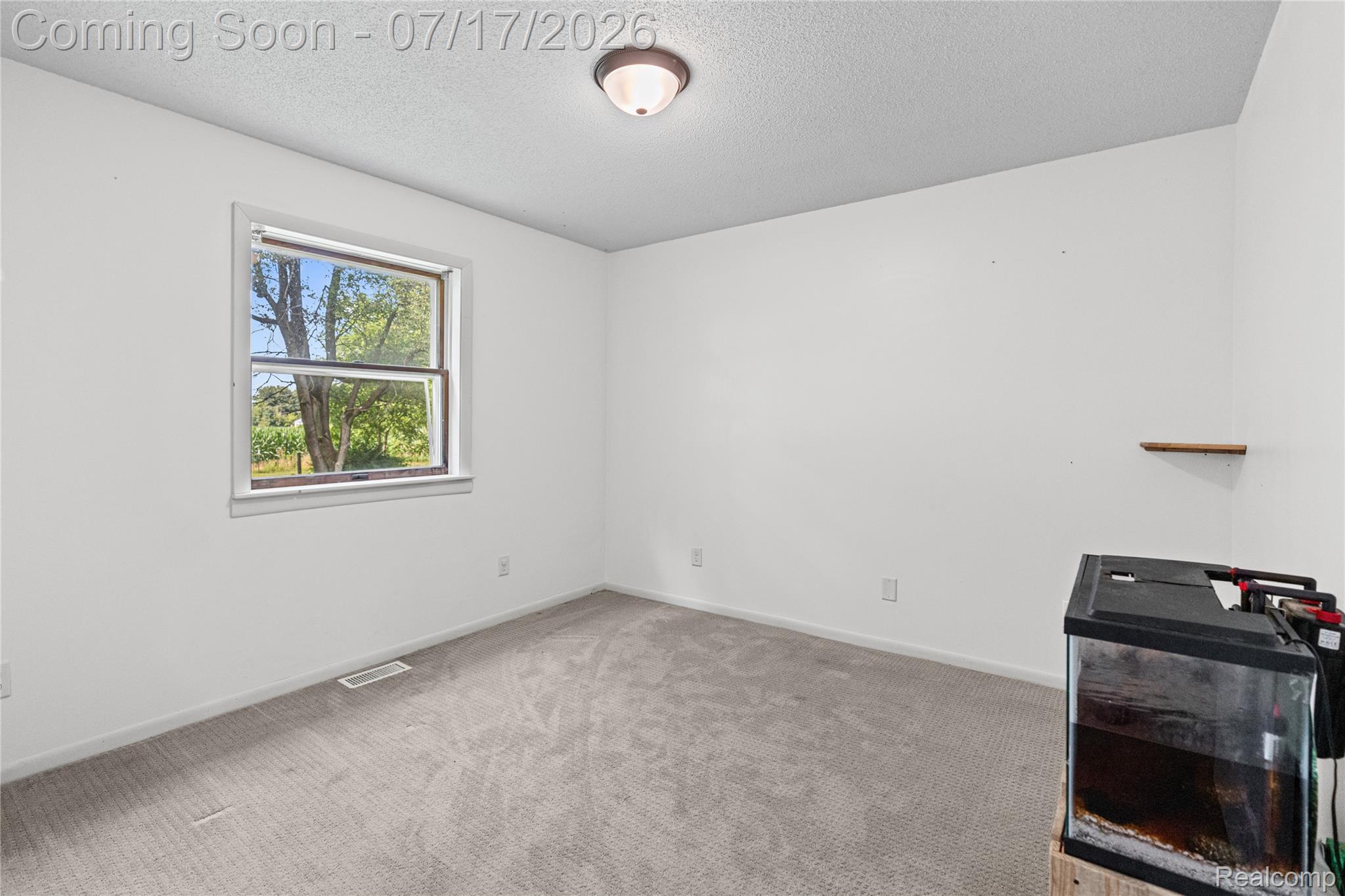 9204 Bray Road Property Photo 7