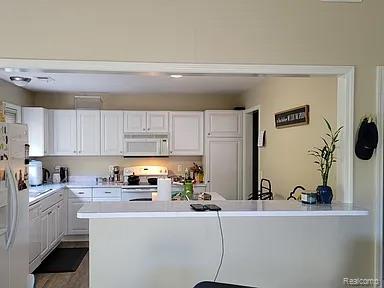 28530 Carlton Way Drive Property Photo 3
