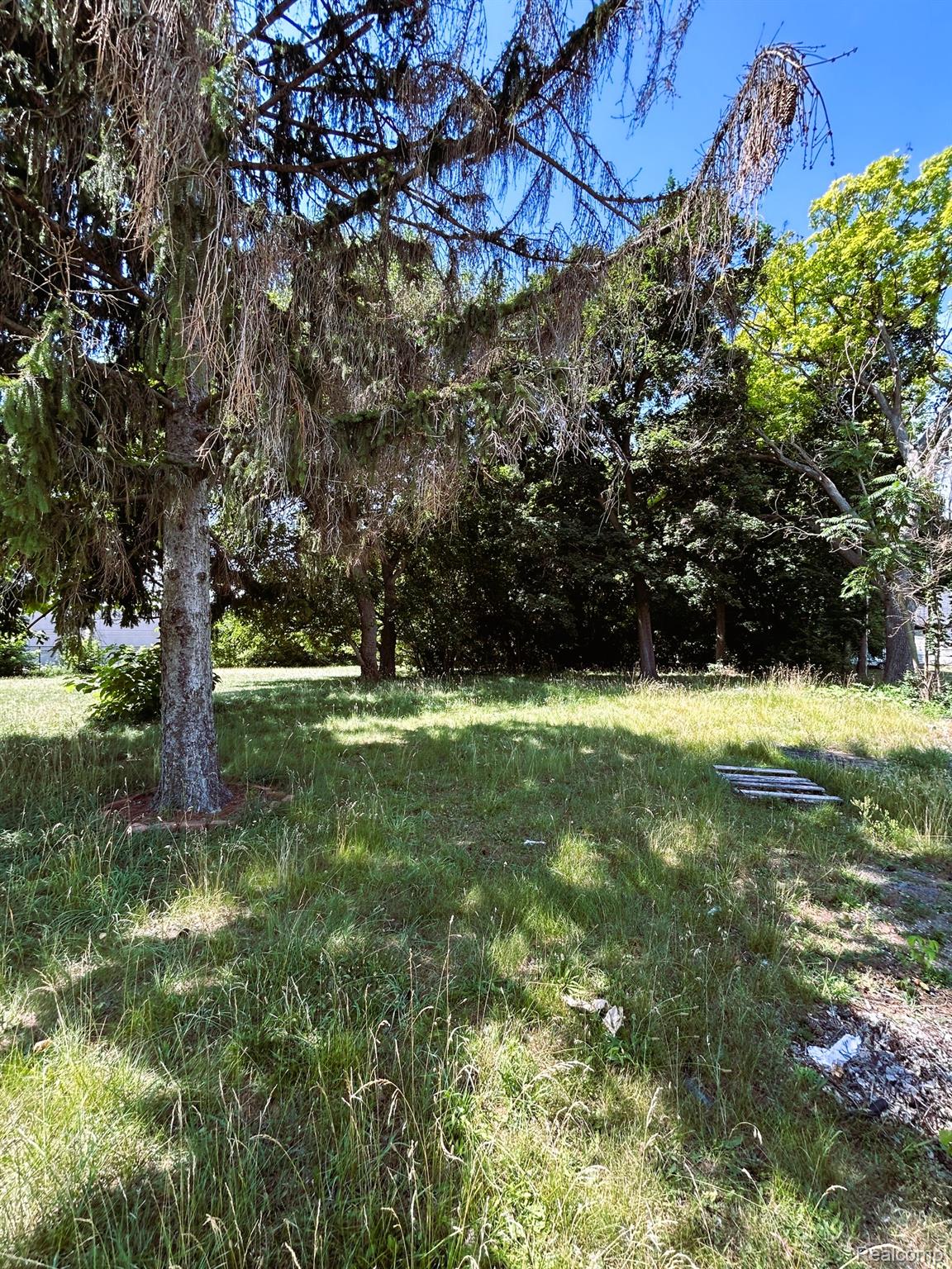 1008 Ann Arbor Street Property Photo 1